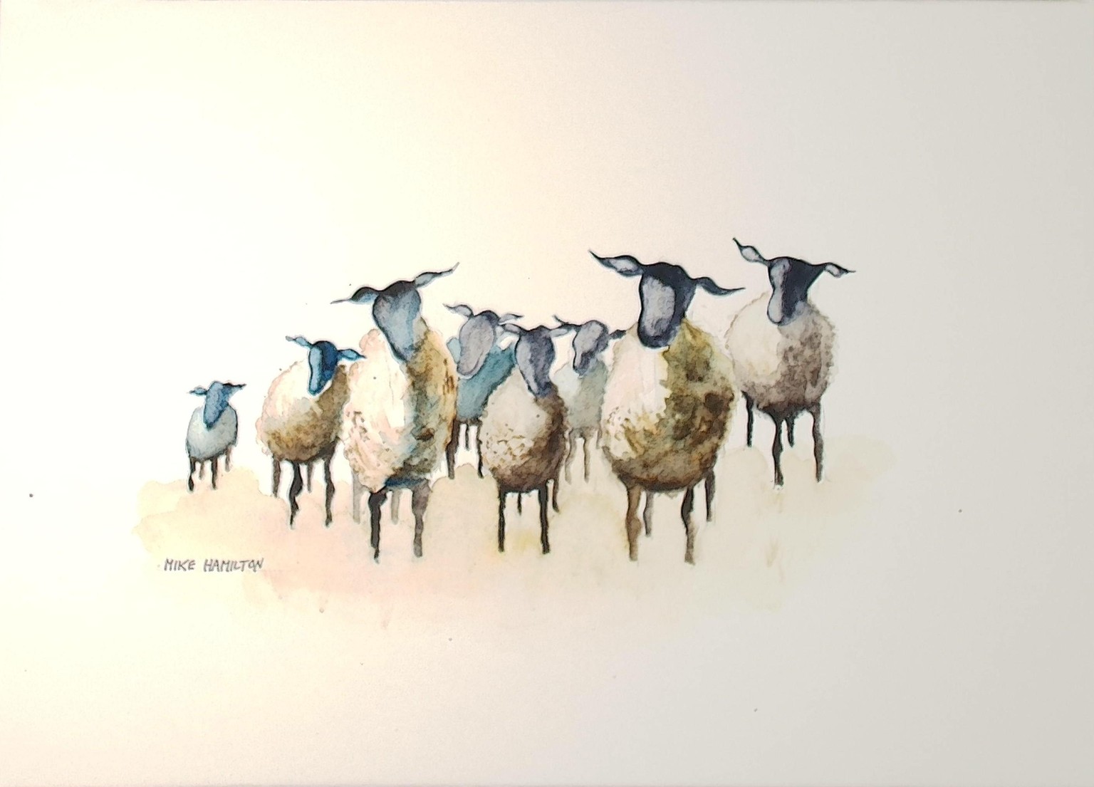 Mike Sheep - image 2 - student project