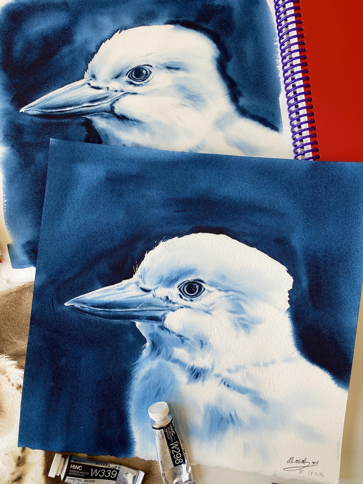 My Monochrome Birds from this Course - image 2 - student project