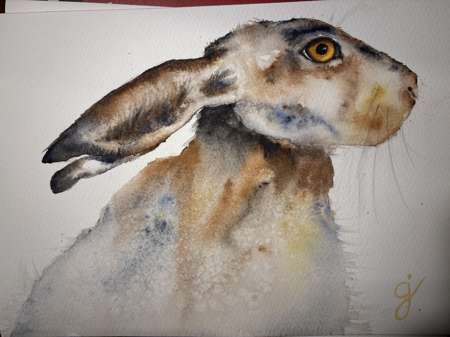 Summer Hare Take 1 - image 1 - student project