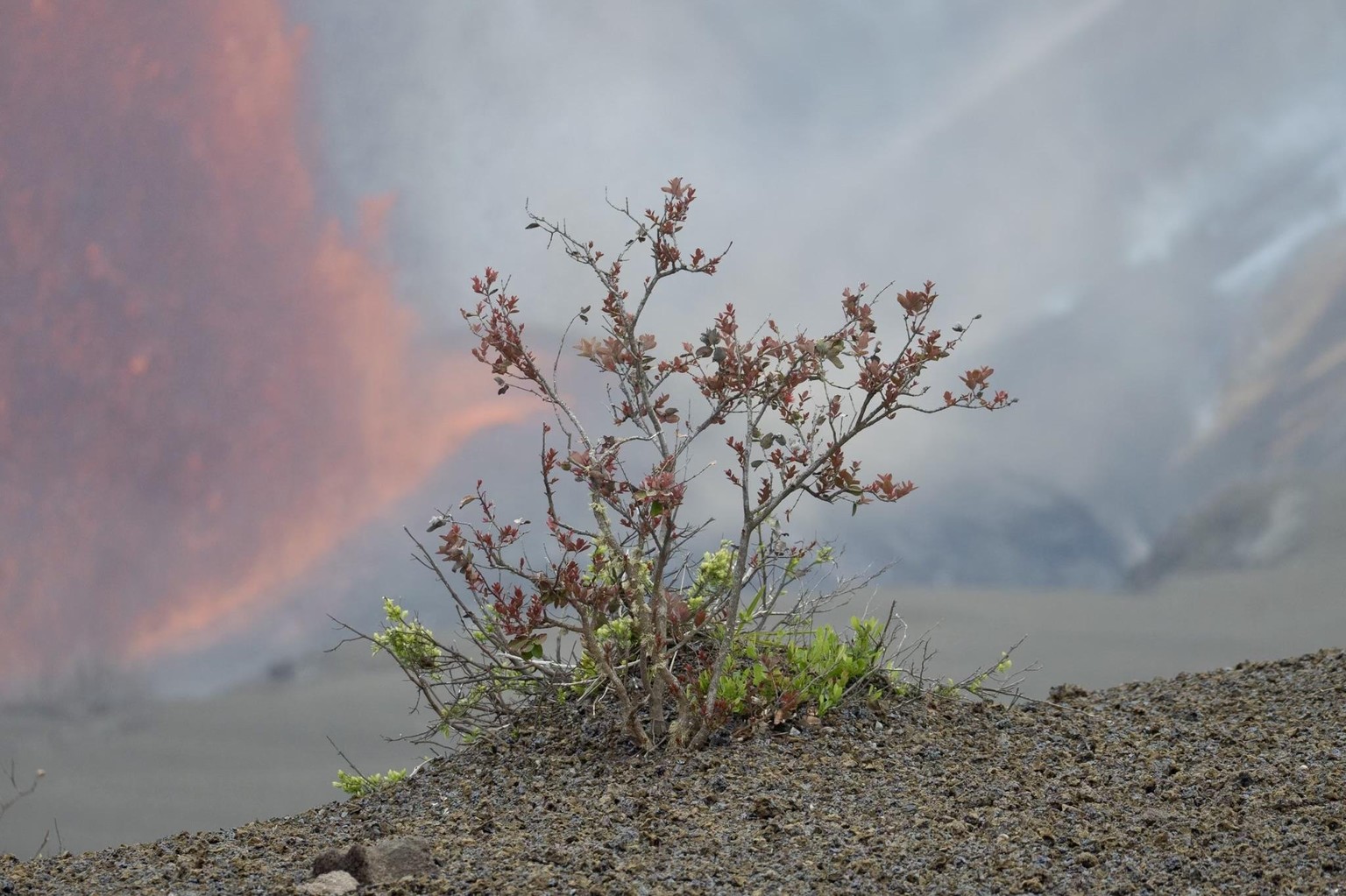 Volcano - image 2 - student project