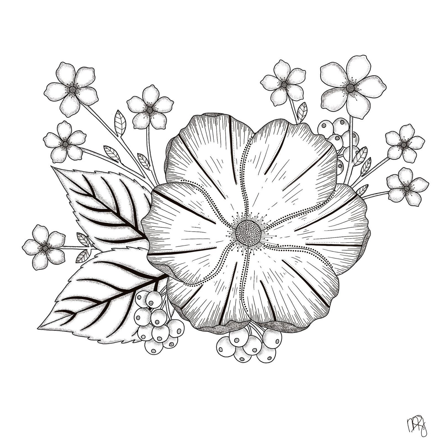 Botanical line art - image 2 - student project