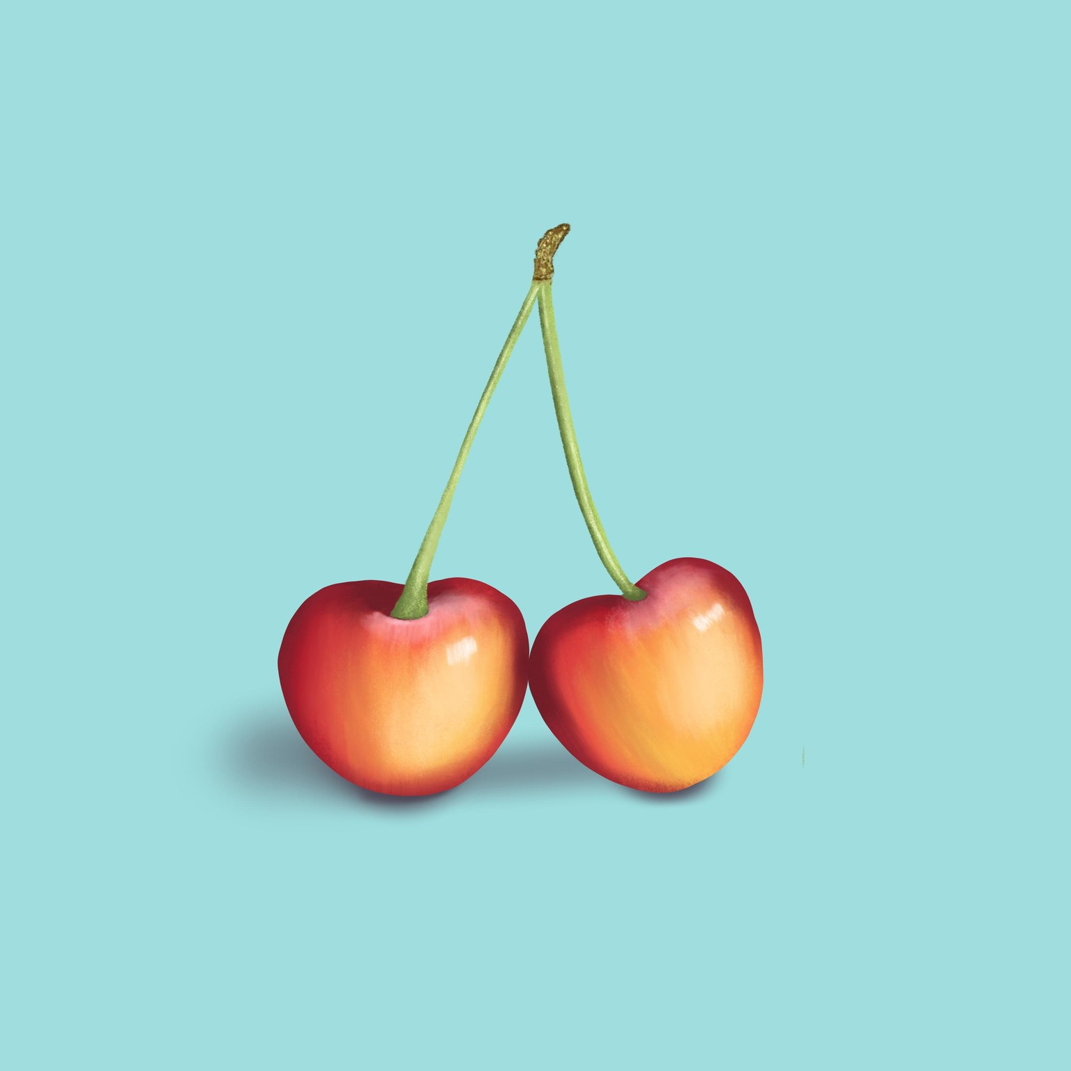My Fruit Basket - image 6 - student project