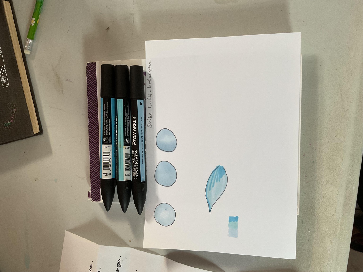 Blue anémone - image 1 - student project