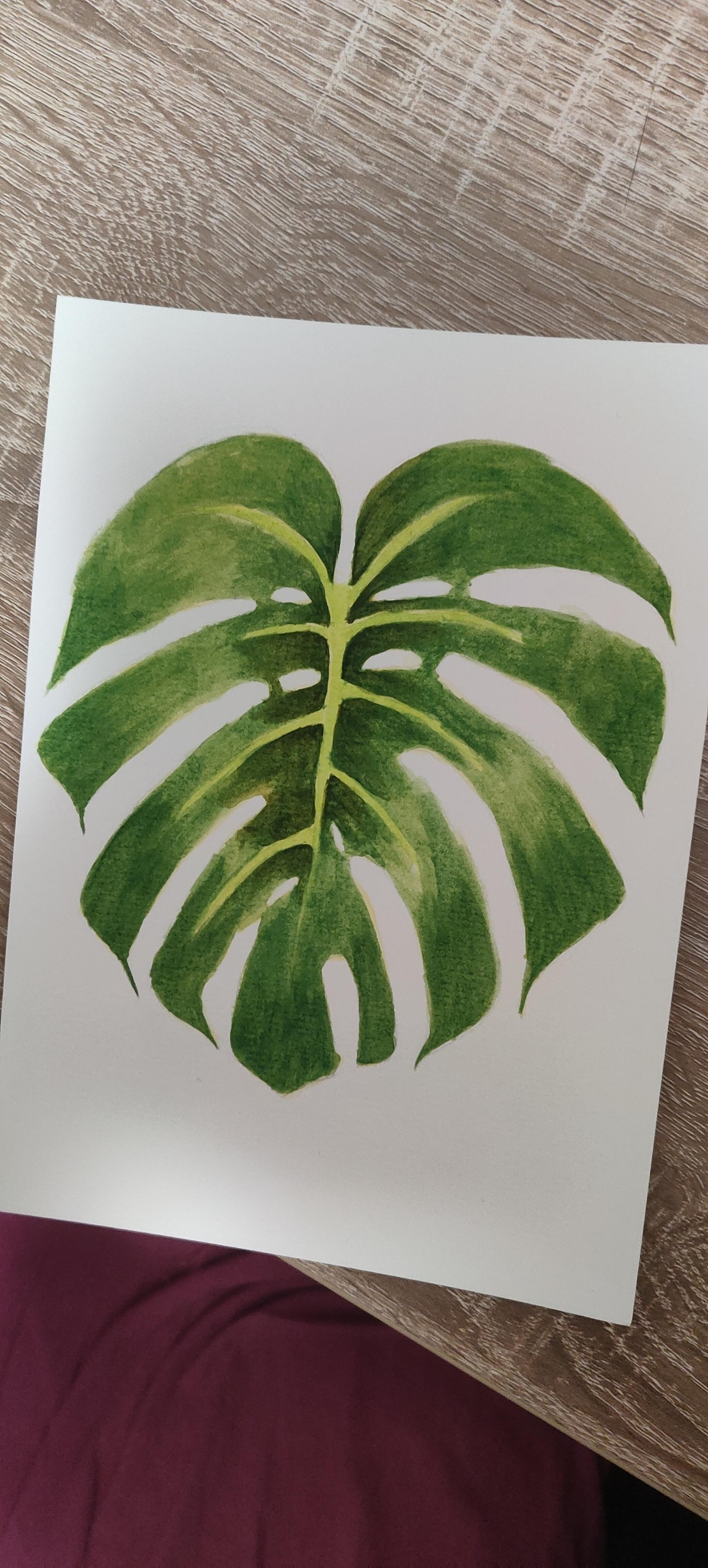 Monstera - image 1 - student project