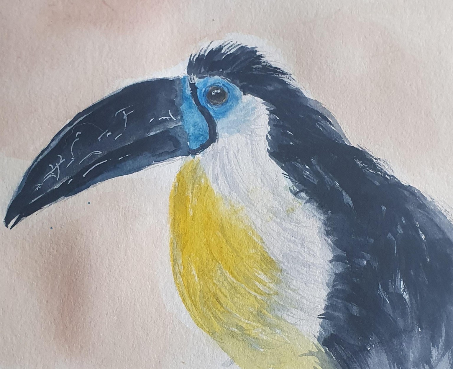 Birds in loose sketching style in watercolor  :)) - image 1 - student project