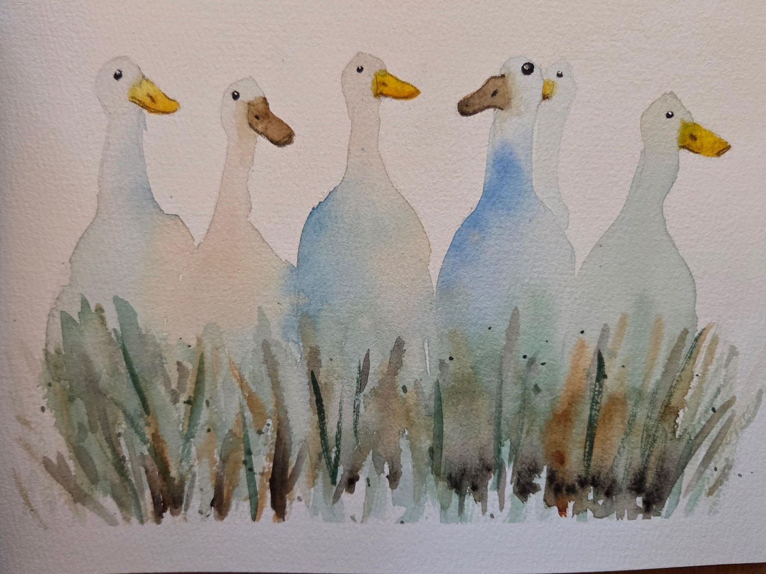 Ducks for Beginners - image 1 - student project