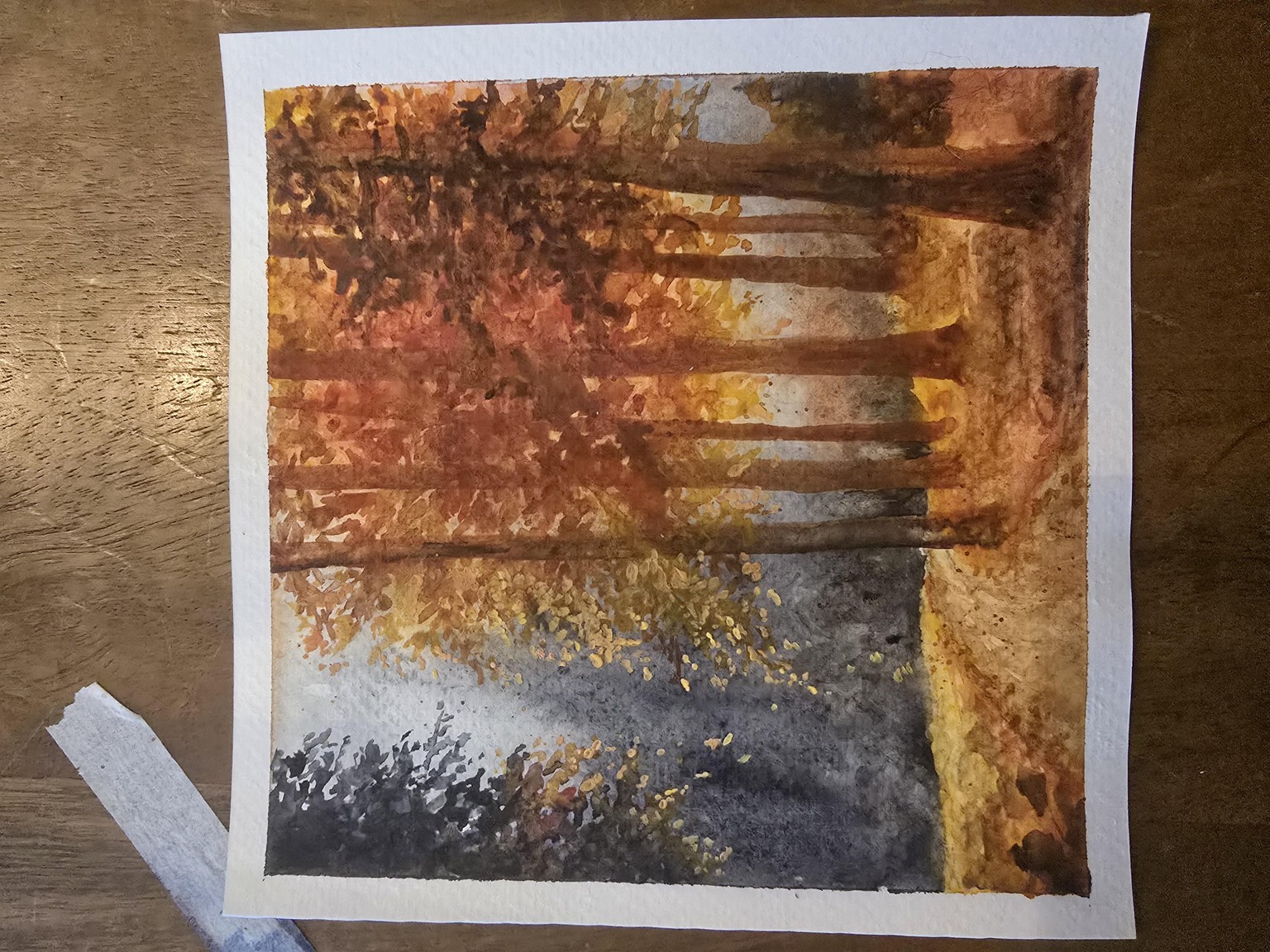 Fall trees - image 1 - student project