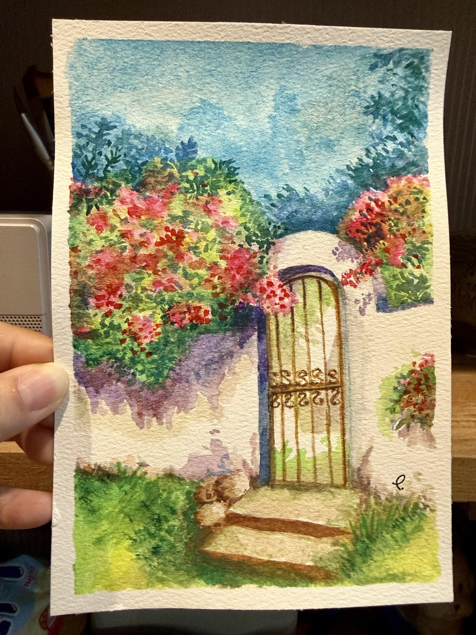 Garden gate & flowers - image 1 - student project