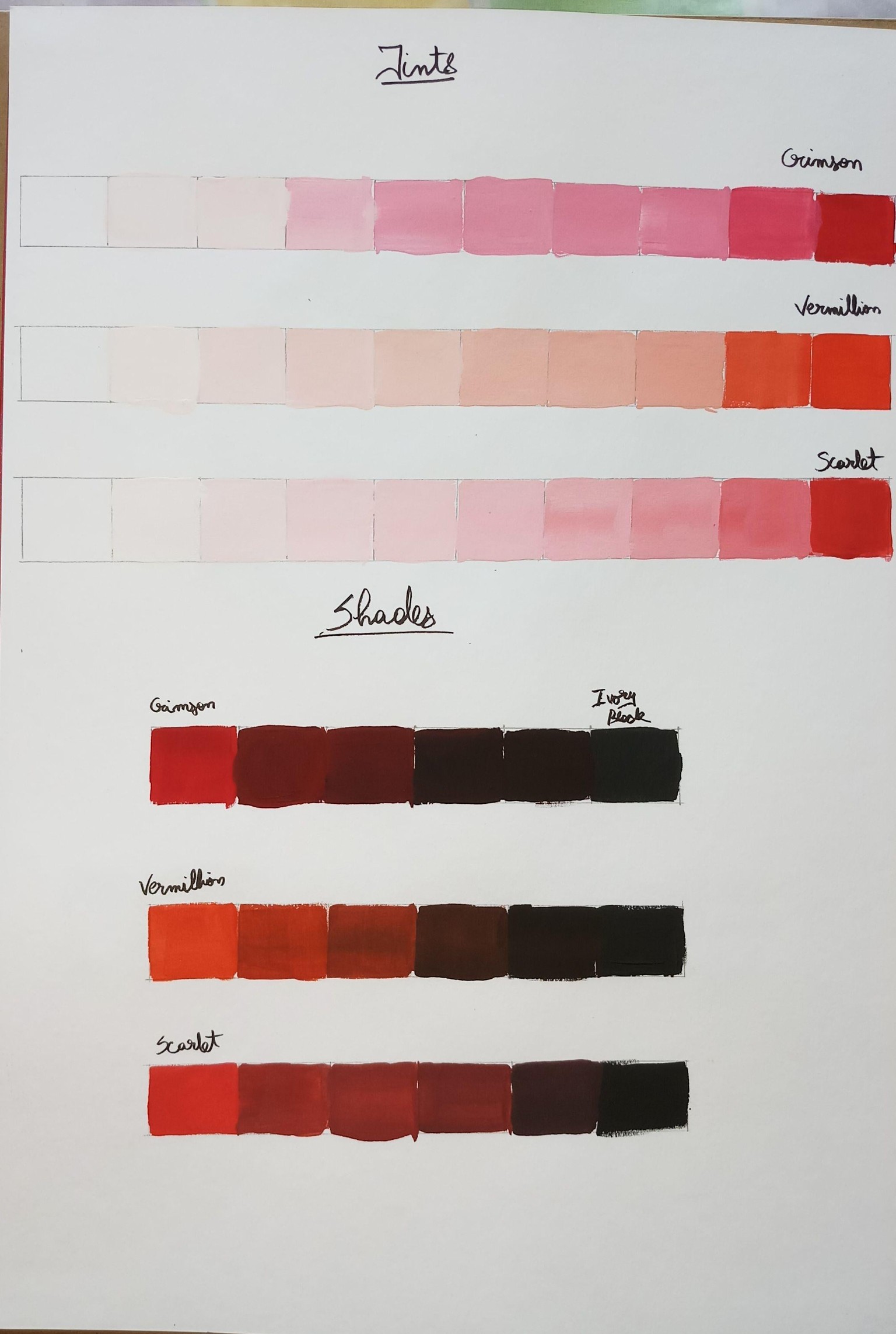 Color Collector - image 2 - student project