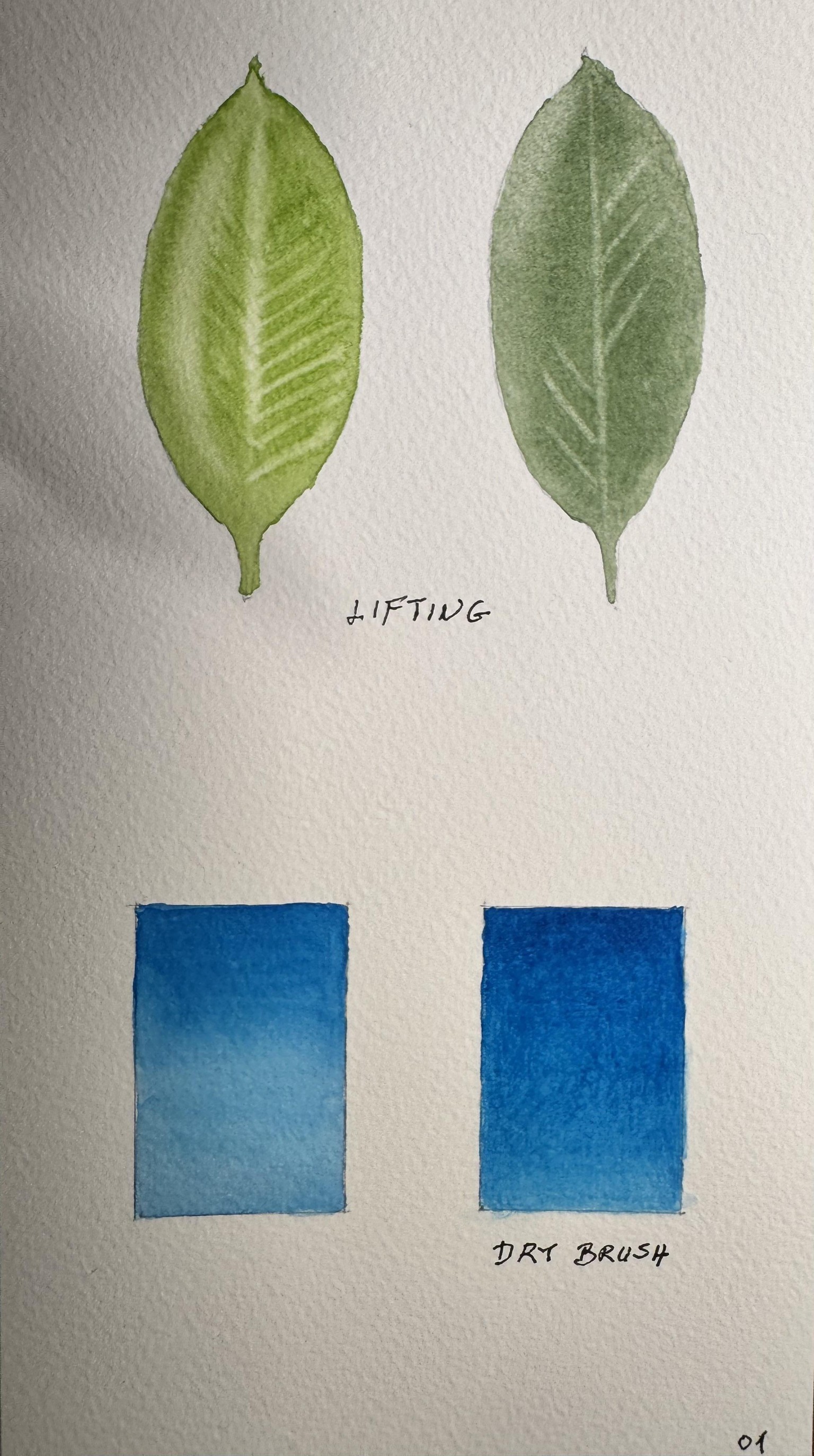 Watercolor techniques - image 1 - student project