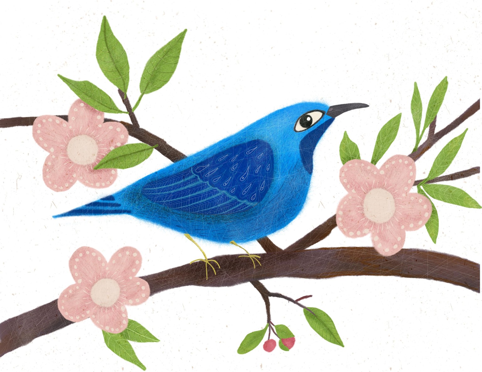 Whimsical bird - image 3 - student project