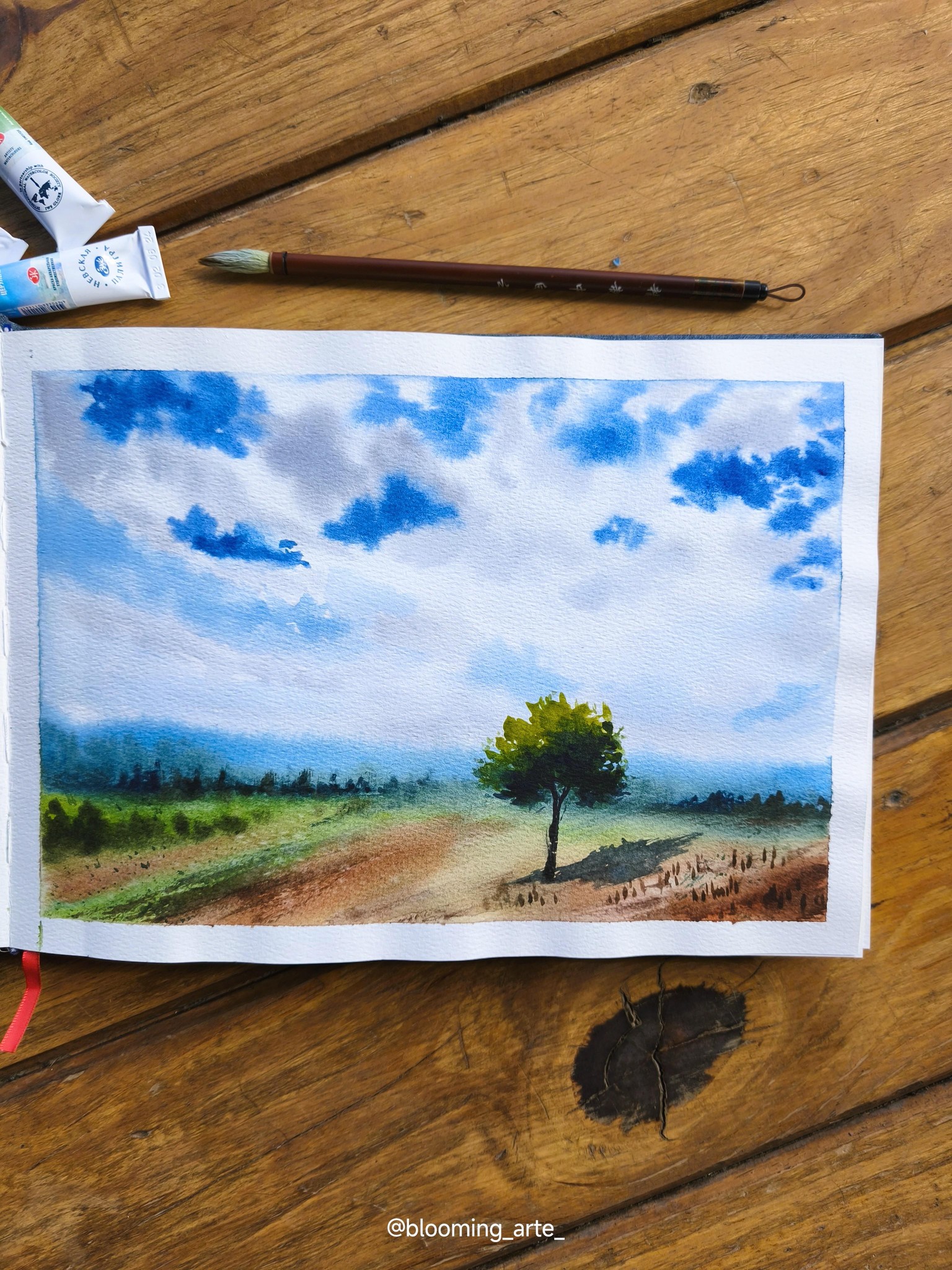 Todo sobre cómo pintar cielos azules y nubes blancas con acuarela - image 3 - student project