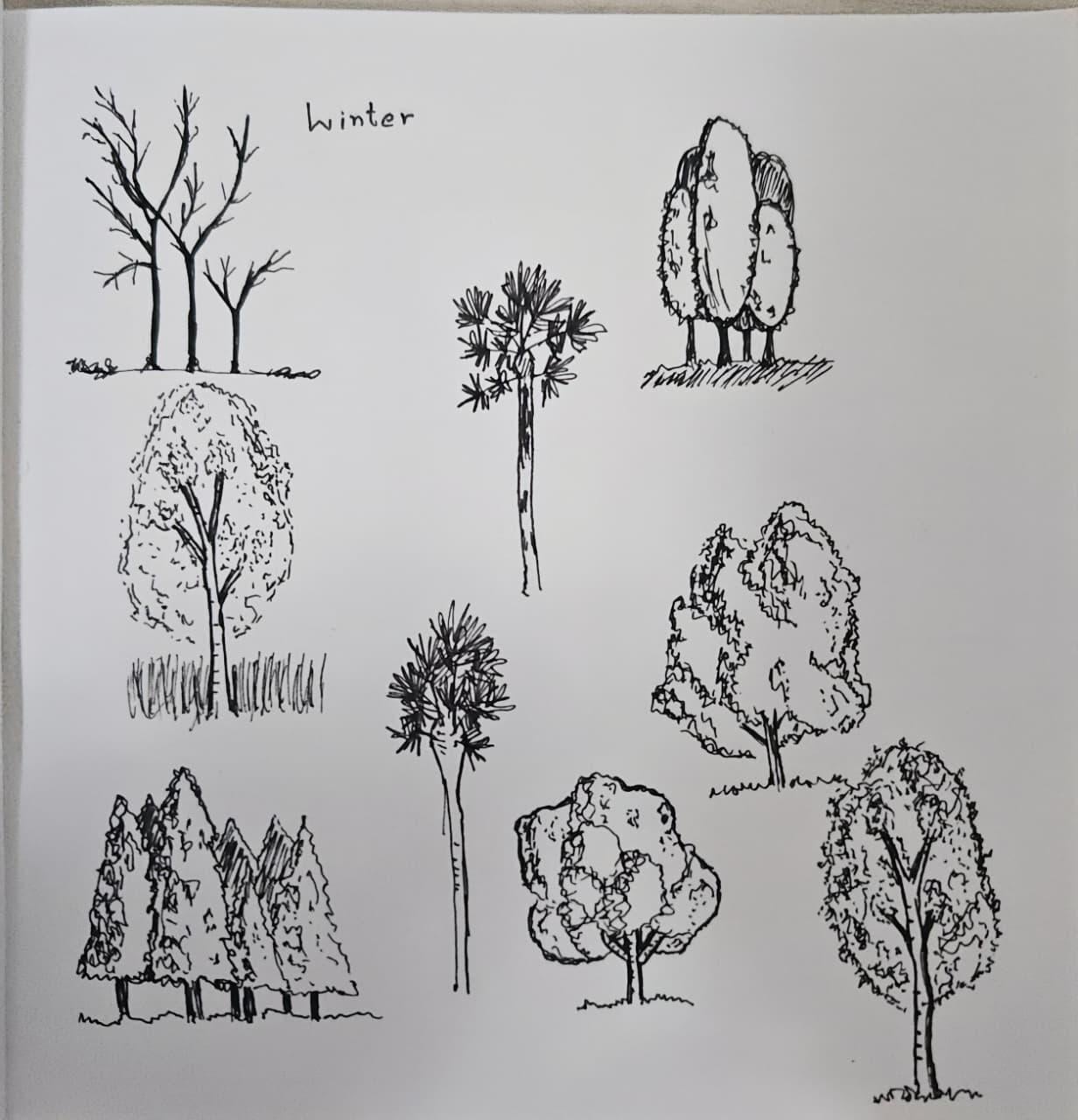 Trees ᨒ↟ 𖠰𖥧˚ - image 1 - student project