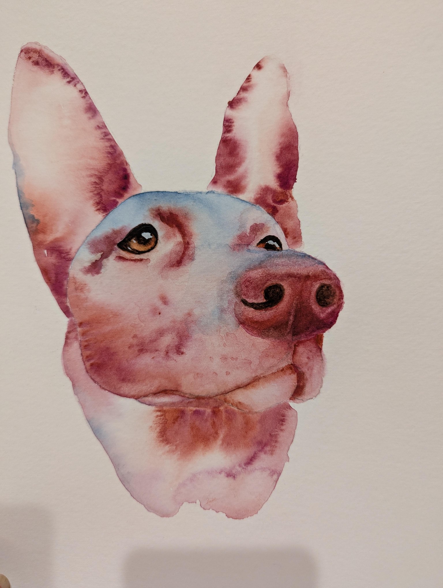 Pups - image 2 - student project