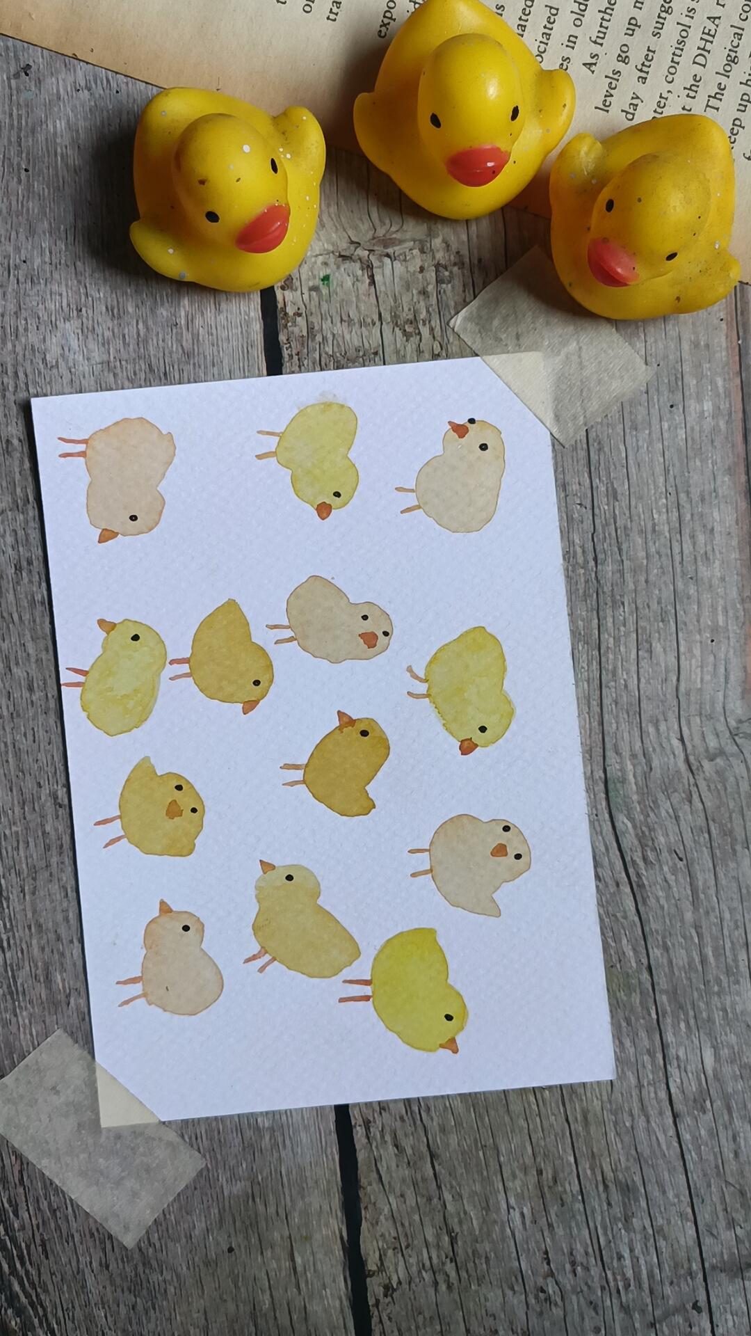 Cute Little Chicks - image 5 - student project