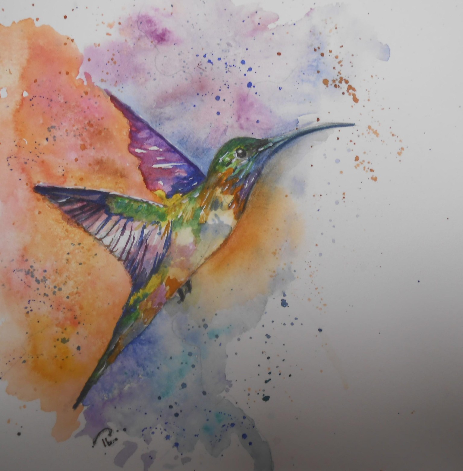colibris - image 1 - student project