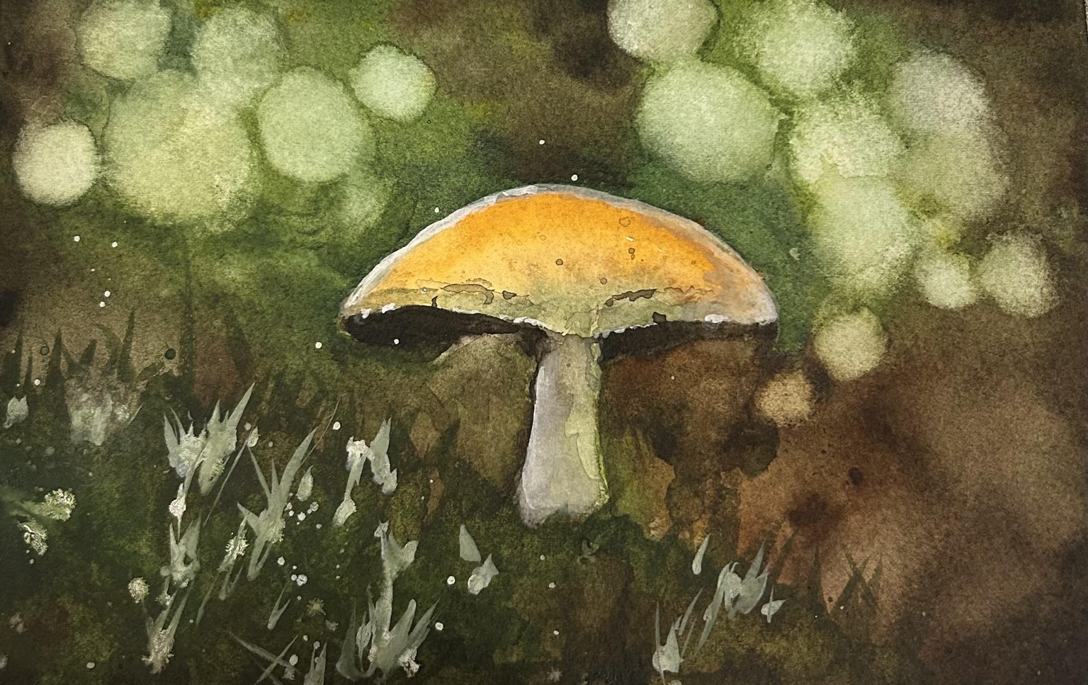 Forest Mushroom - image 1 - student project