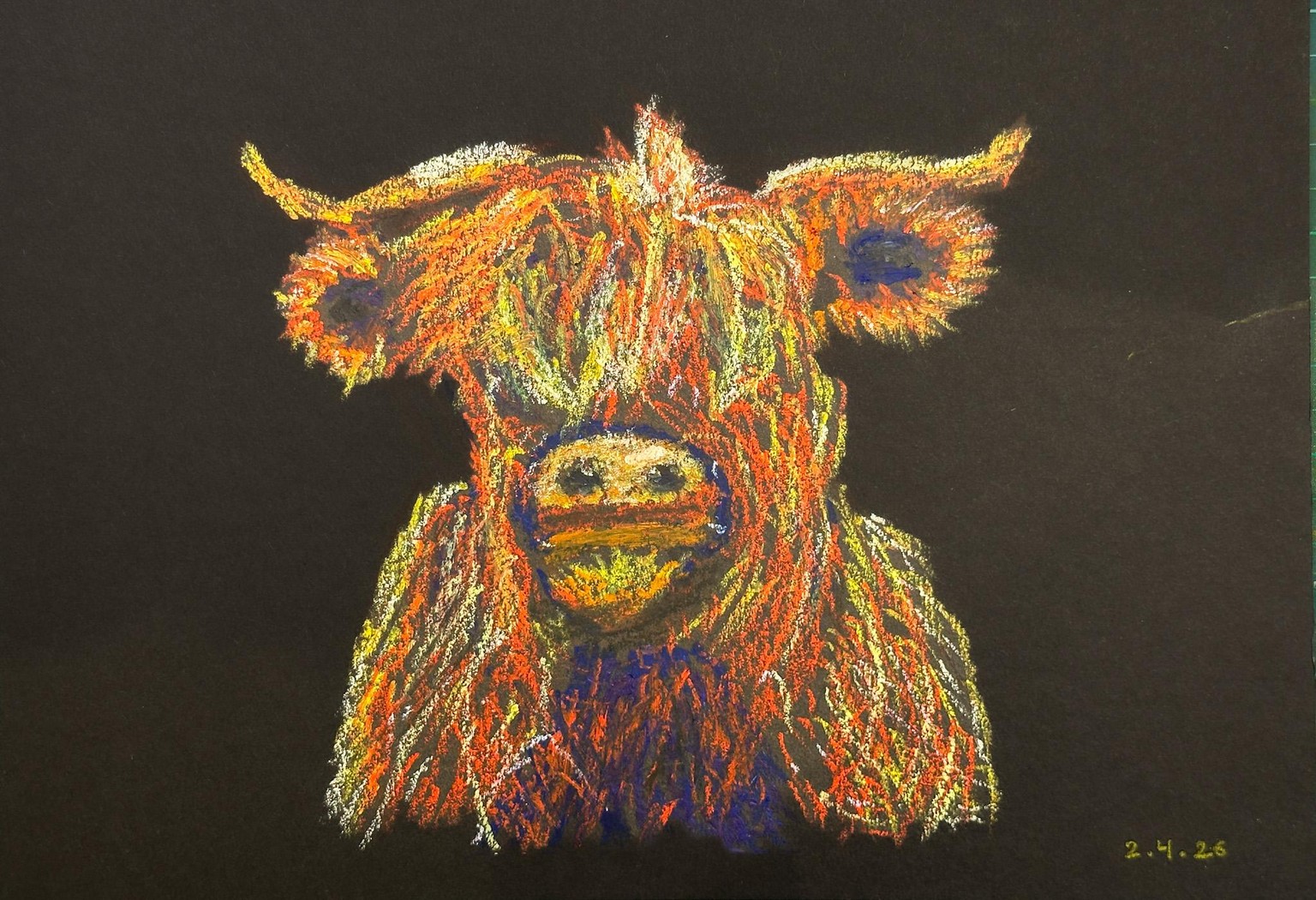 Colourful Critters - Lama & co - image 1 - student project