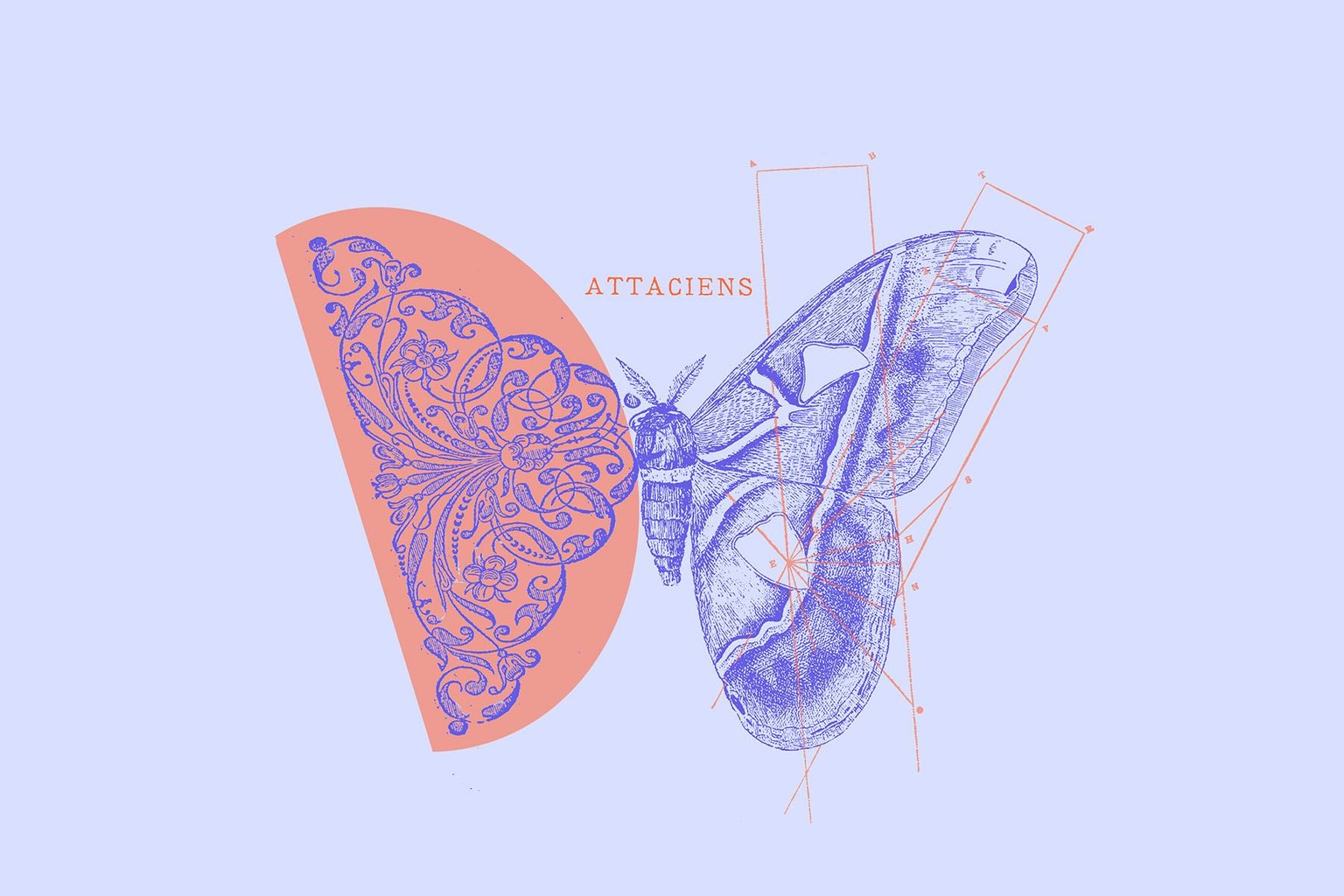 butterfly minimal collage - image 1 - student project