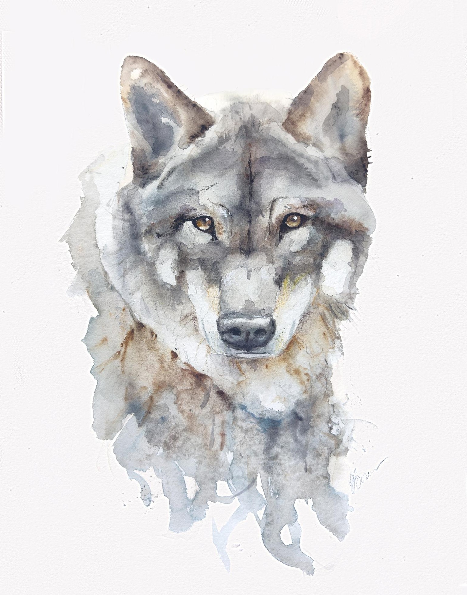 Wolf Study - image 1 - student project
