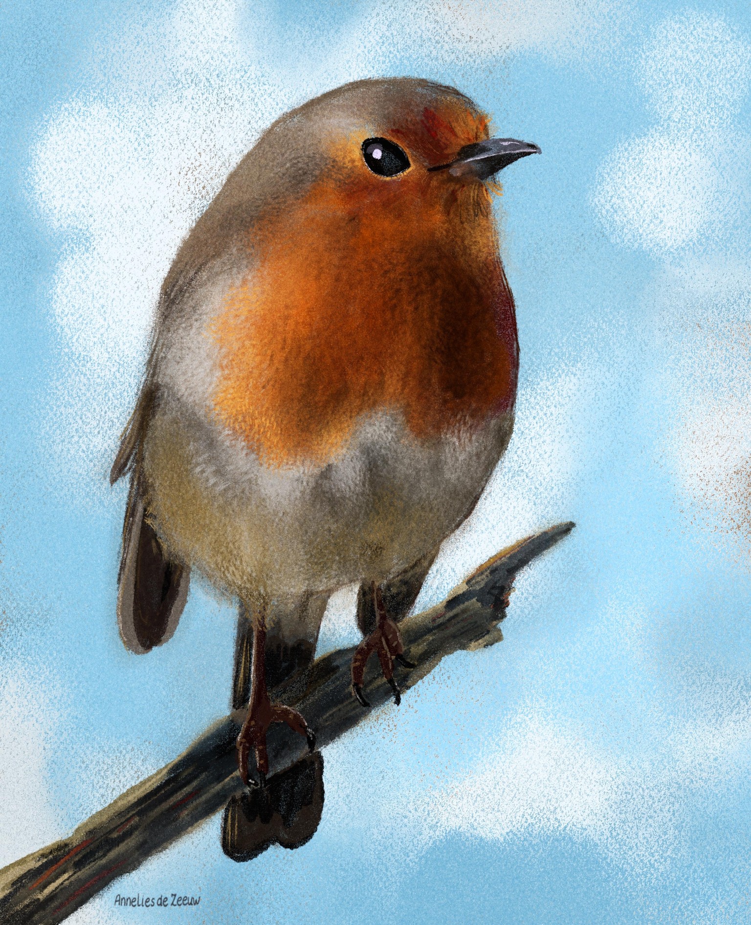 Robin - image 1 - student project