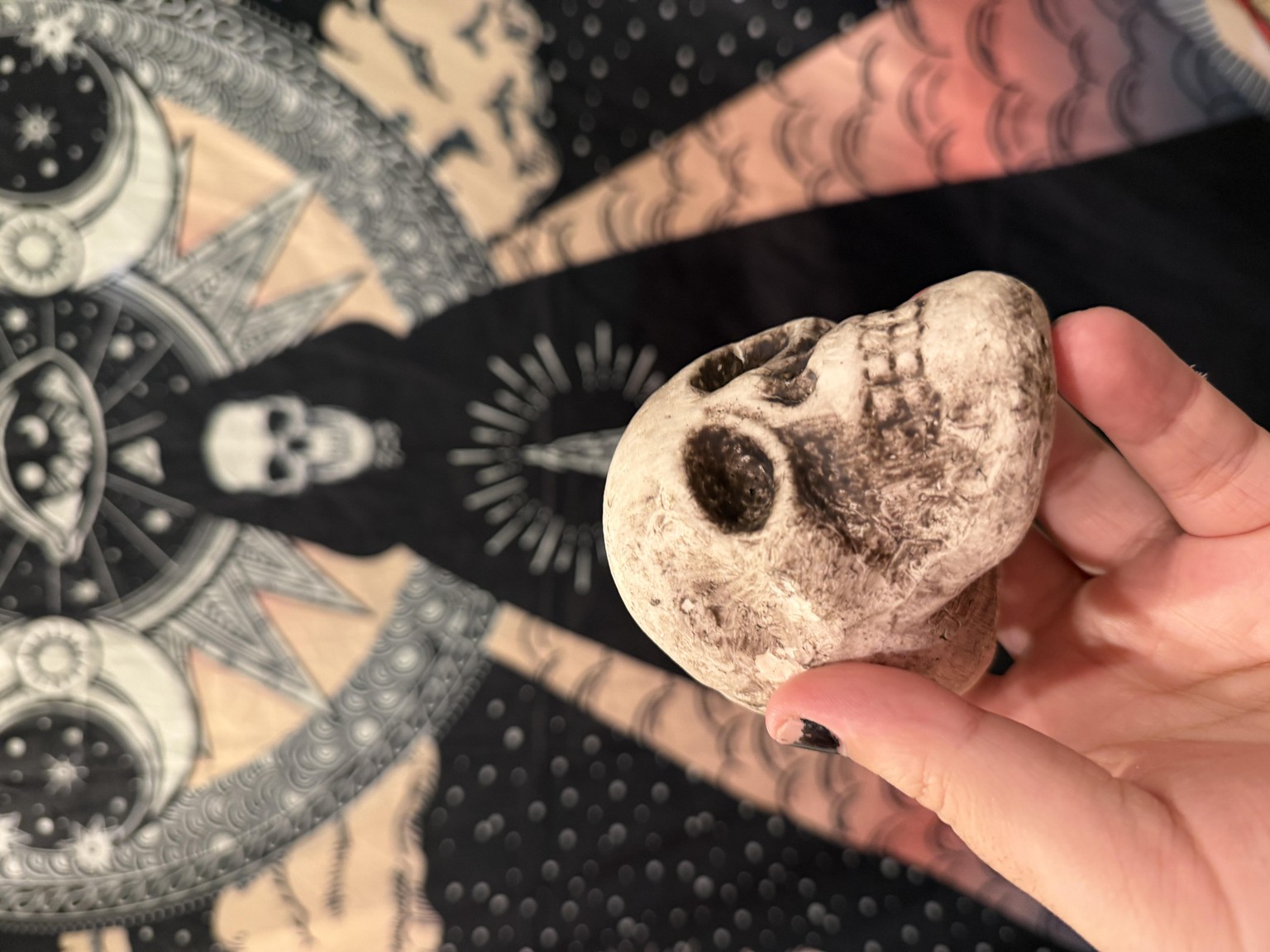 Bob the skull - image 1 - student project