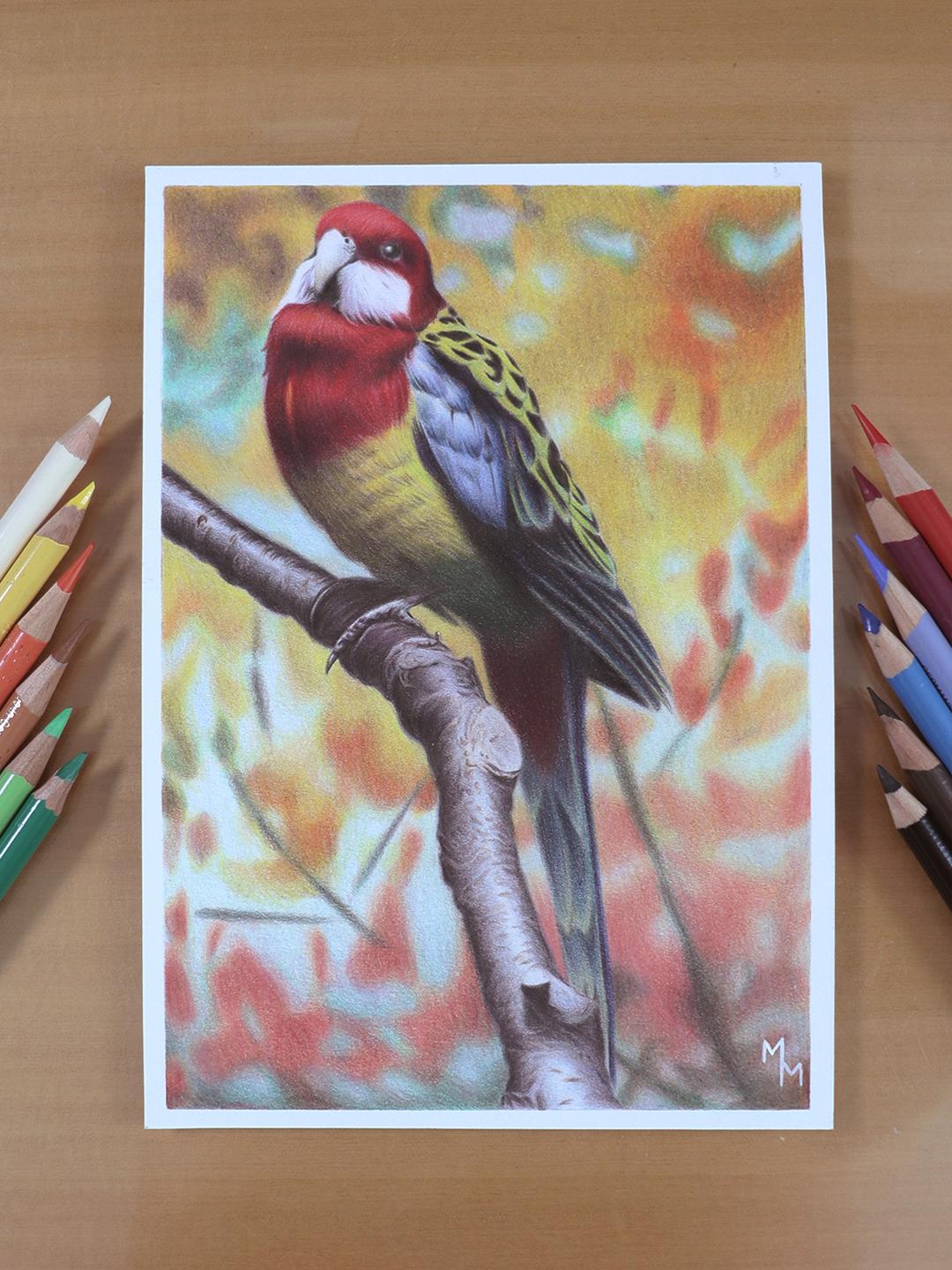 Drawing a bird with 12 colors - image 1 - student project