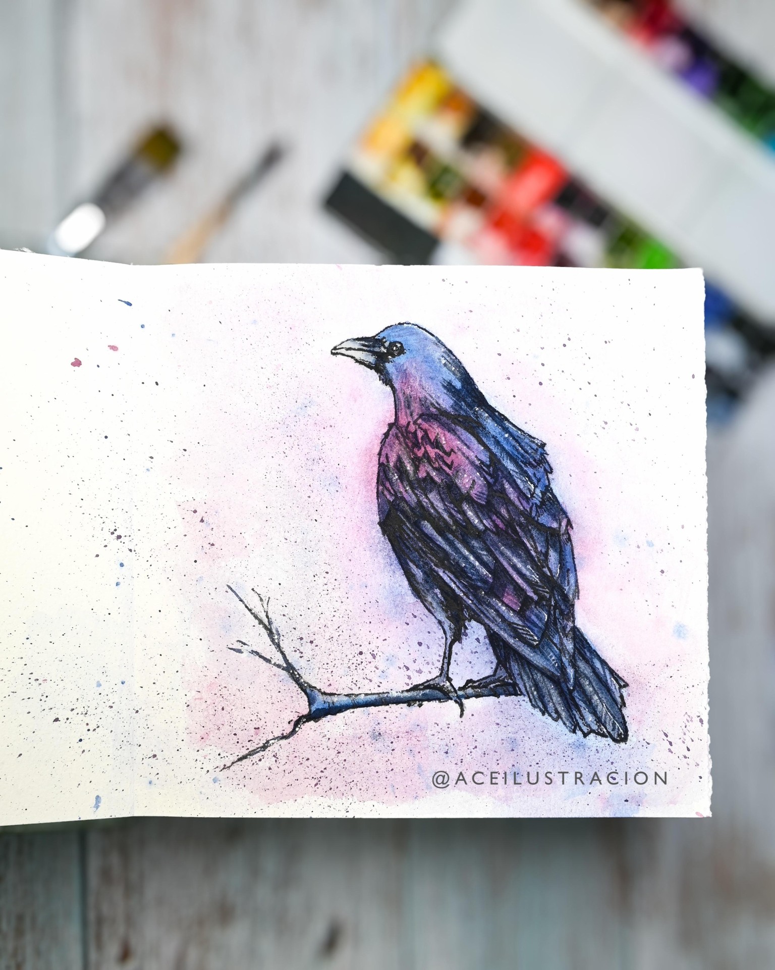 Raven - image 1 - student project