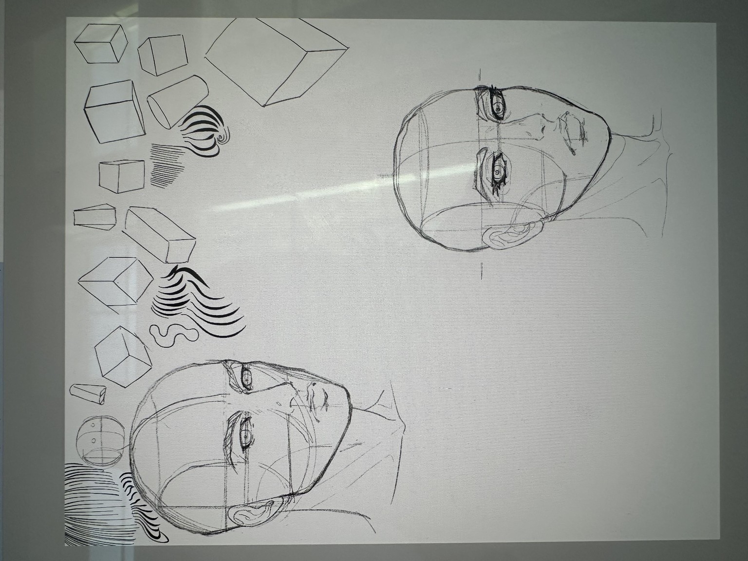 3/4 view and side profile - image 2 - student project