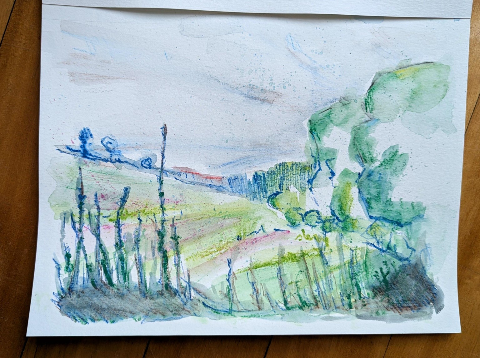 Watercolour Pencils Landscape - image 1 - student project