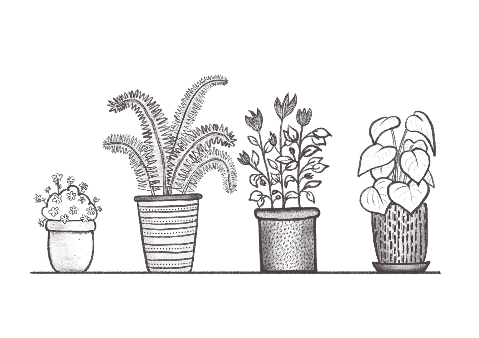Lovely botanical illustration studies - image 1 - student project