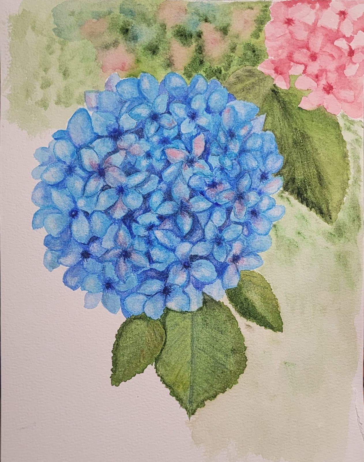 My Hydrangea - image 1 - student project