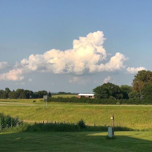 Bunnies on clouds :) - image 1 - student project