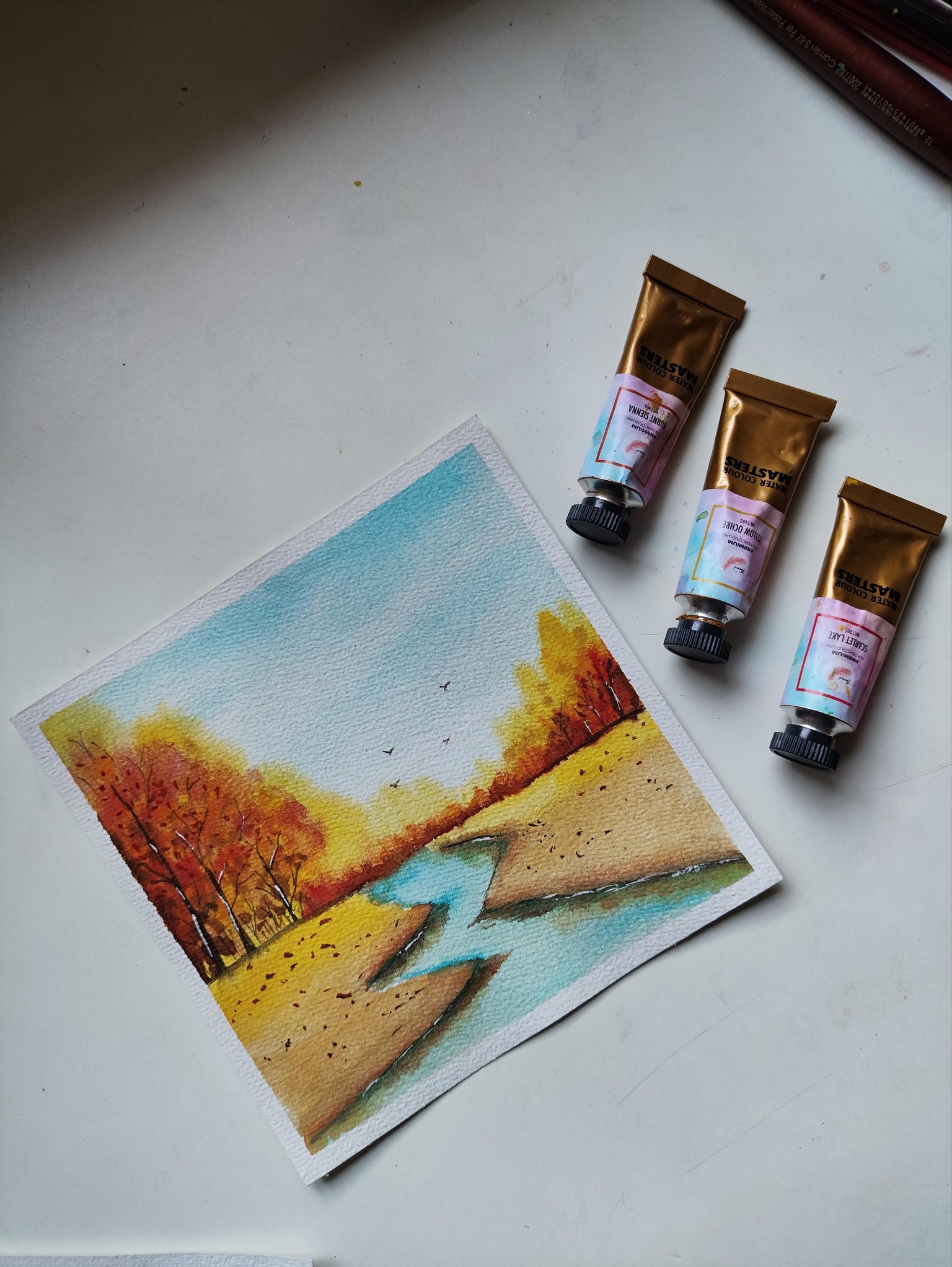 Autumn fall - image 3 - student project