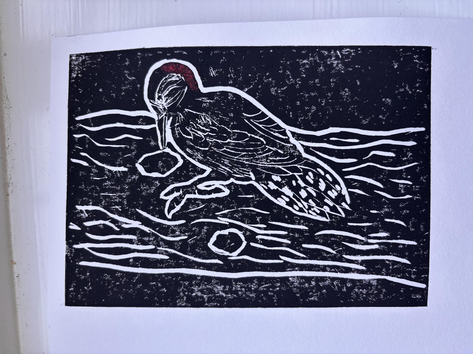 Woody woodpecker - image 1 - student project