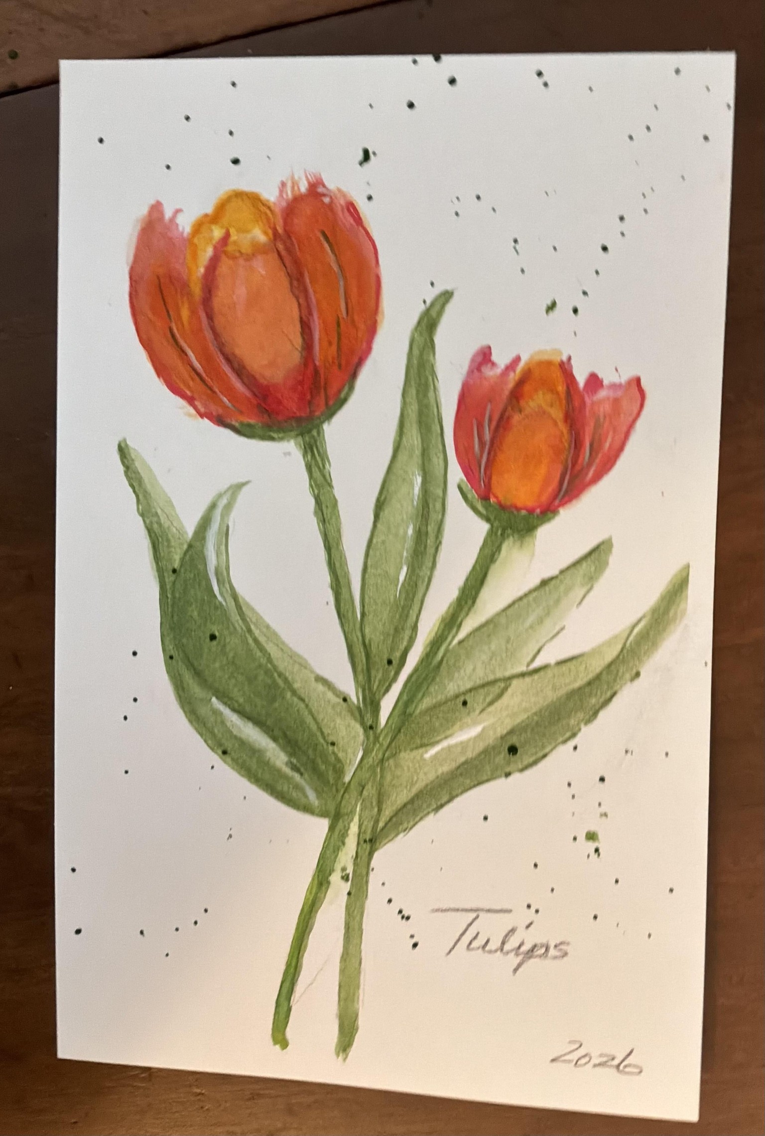 Tulips - image 1 - student project