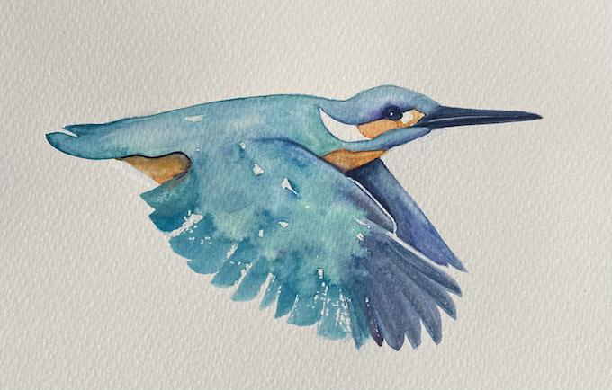 Kingfisher - image 1 - student project