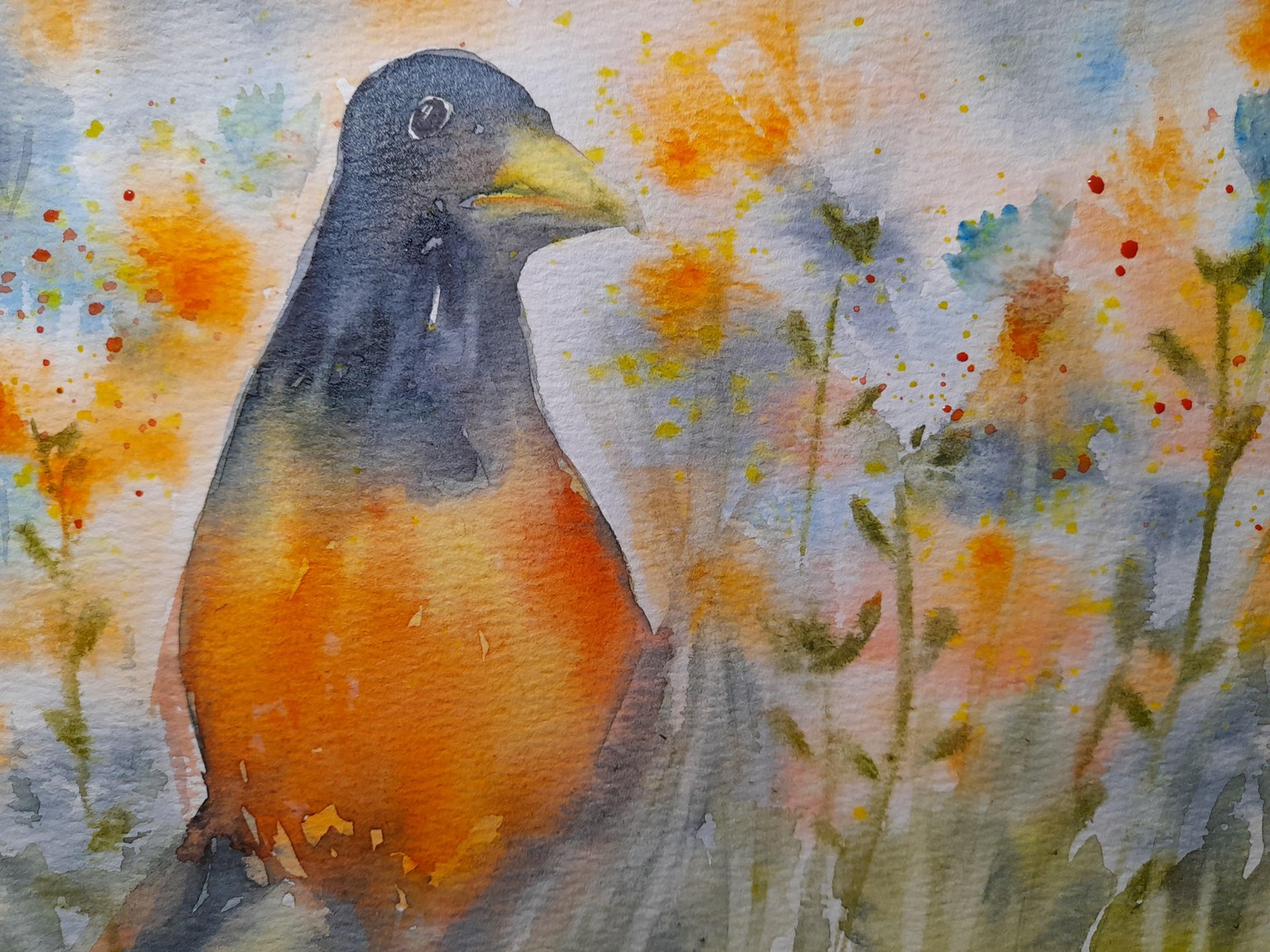 bird - image 1 - student project