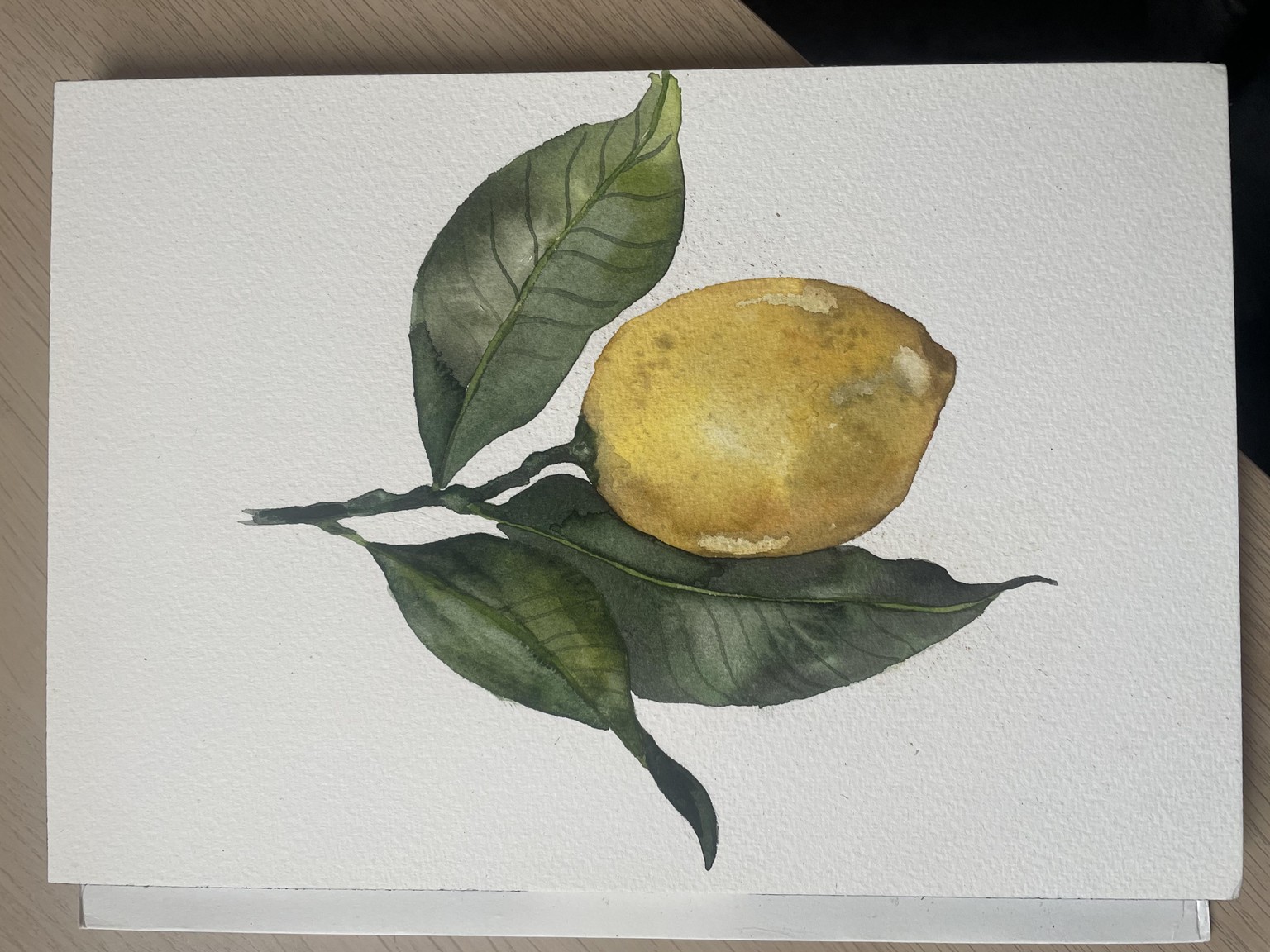 Botanical Lemon Watercolour Exploration - image 2 - student project