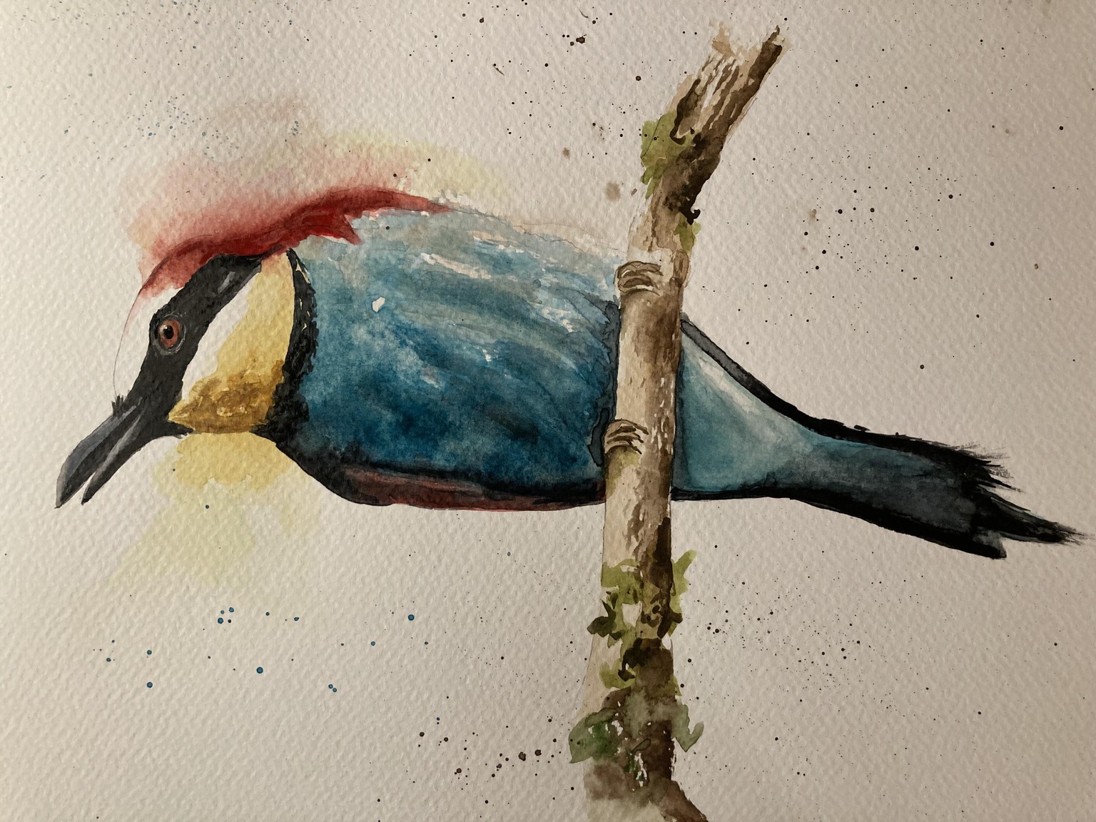 Bee eater - image 1 - student project