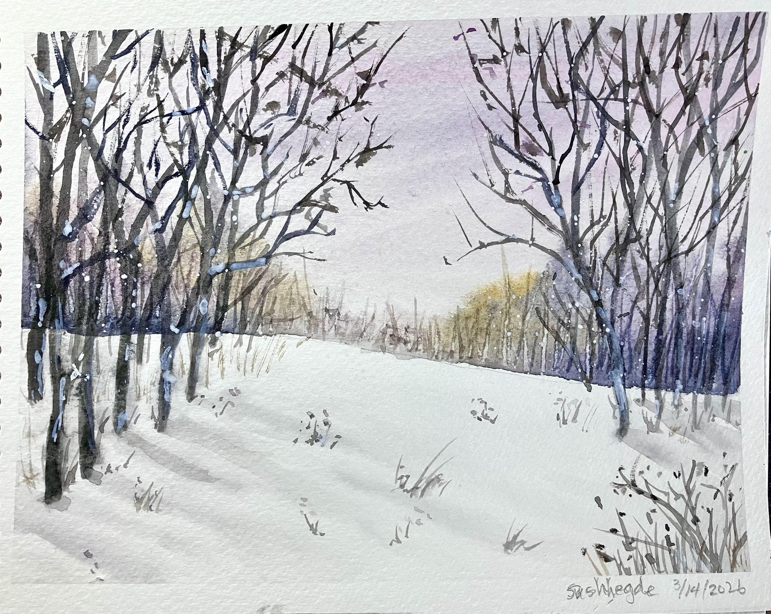 Snowy Winter Landscape - image 1 - student project