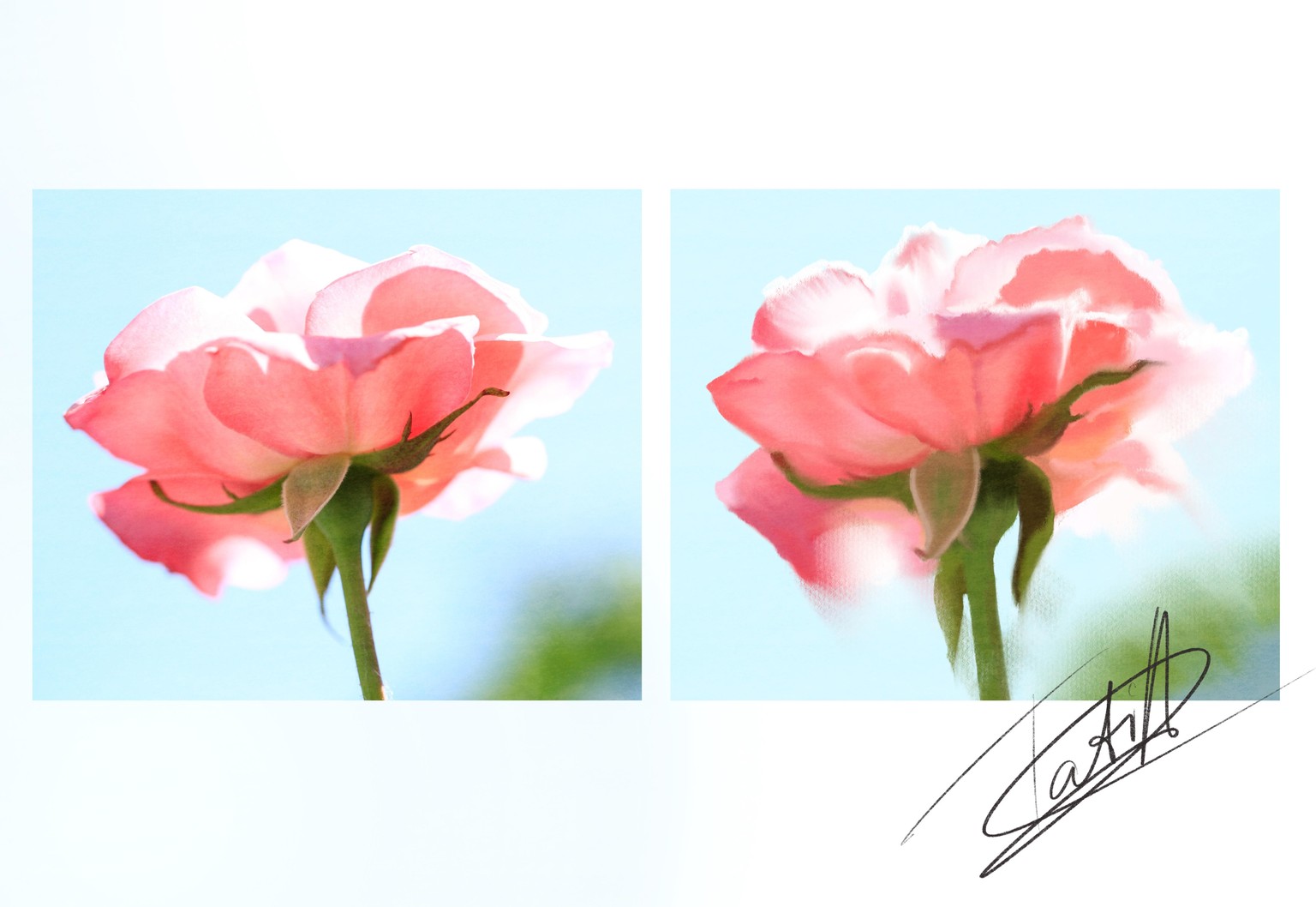 Rose in watercolor - procreate - image 1 - student project