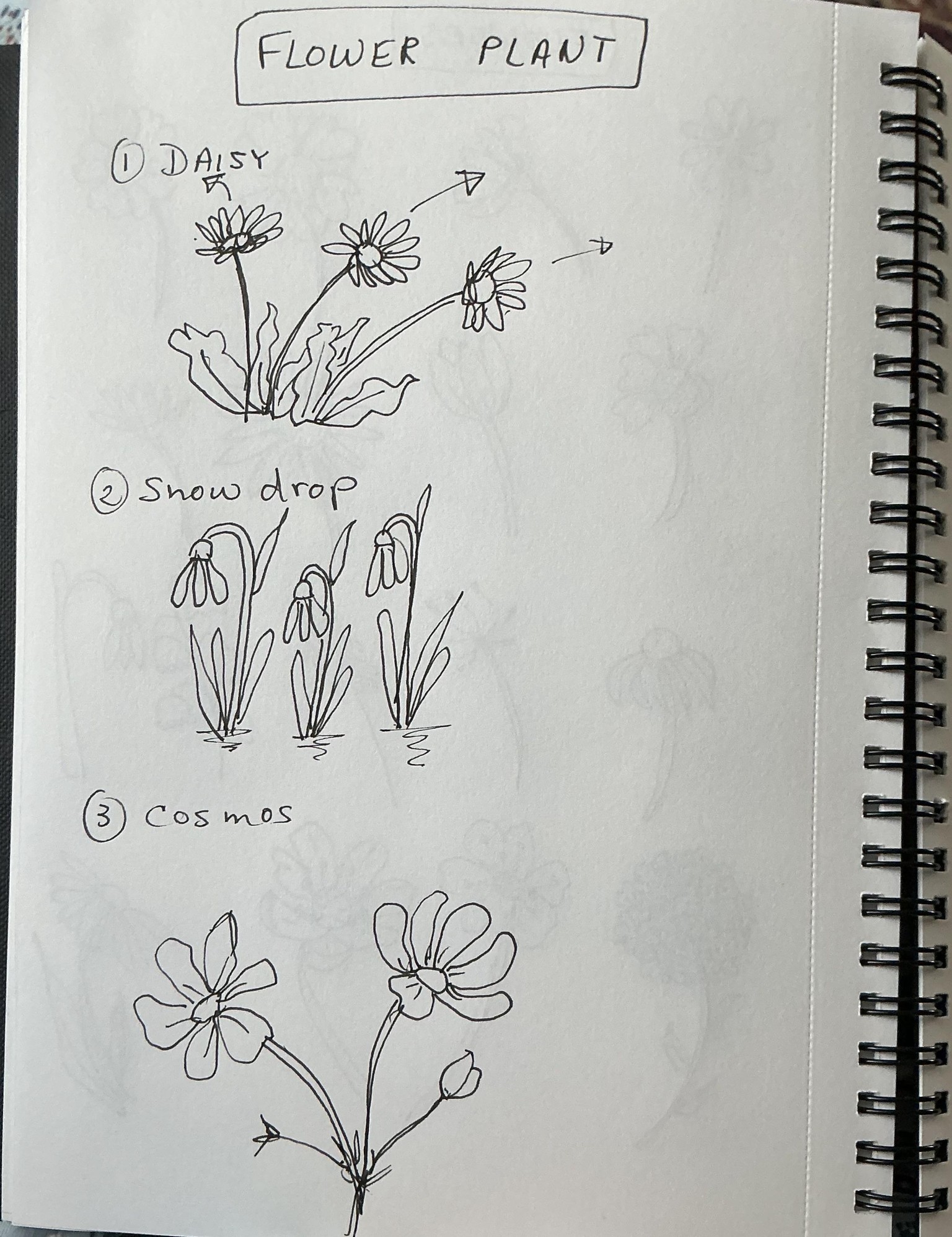 Flower doodles - image 2 - student project
