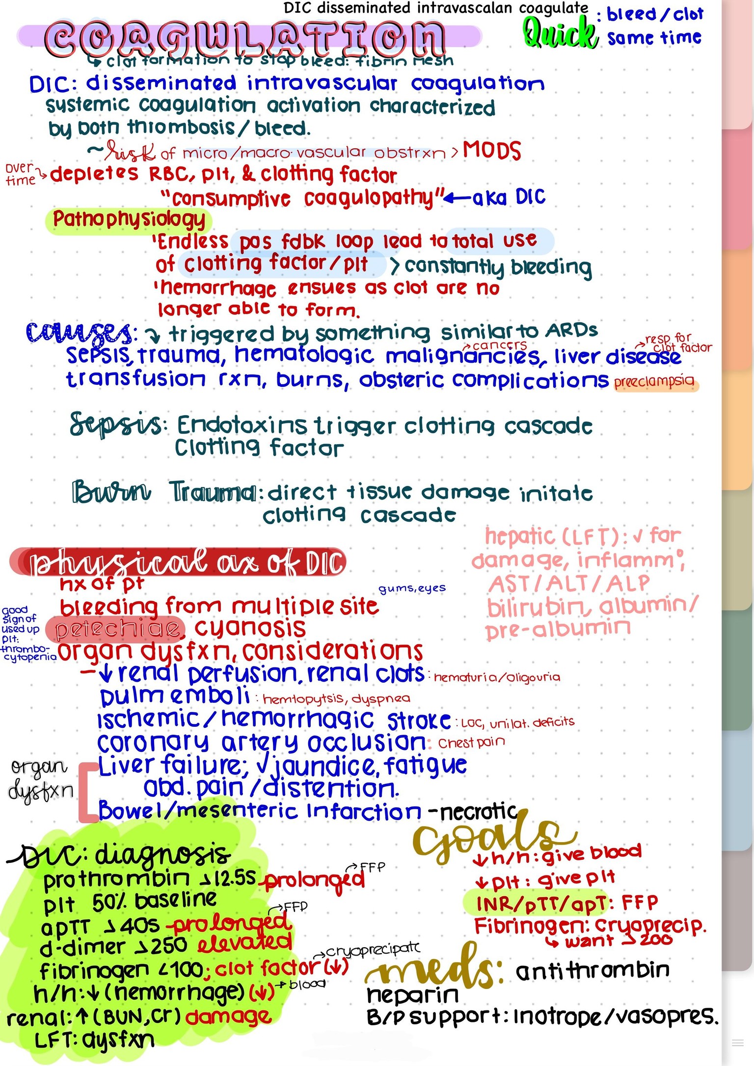 CCRN Astro - image 4 - student project