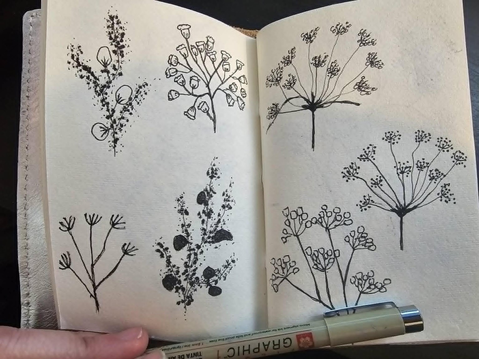 Quelques feuillages - image 3 - student project