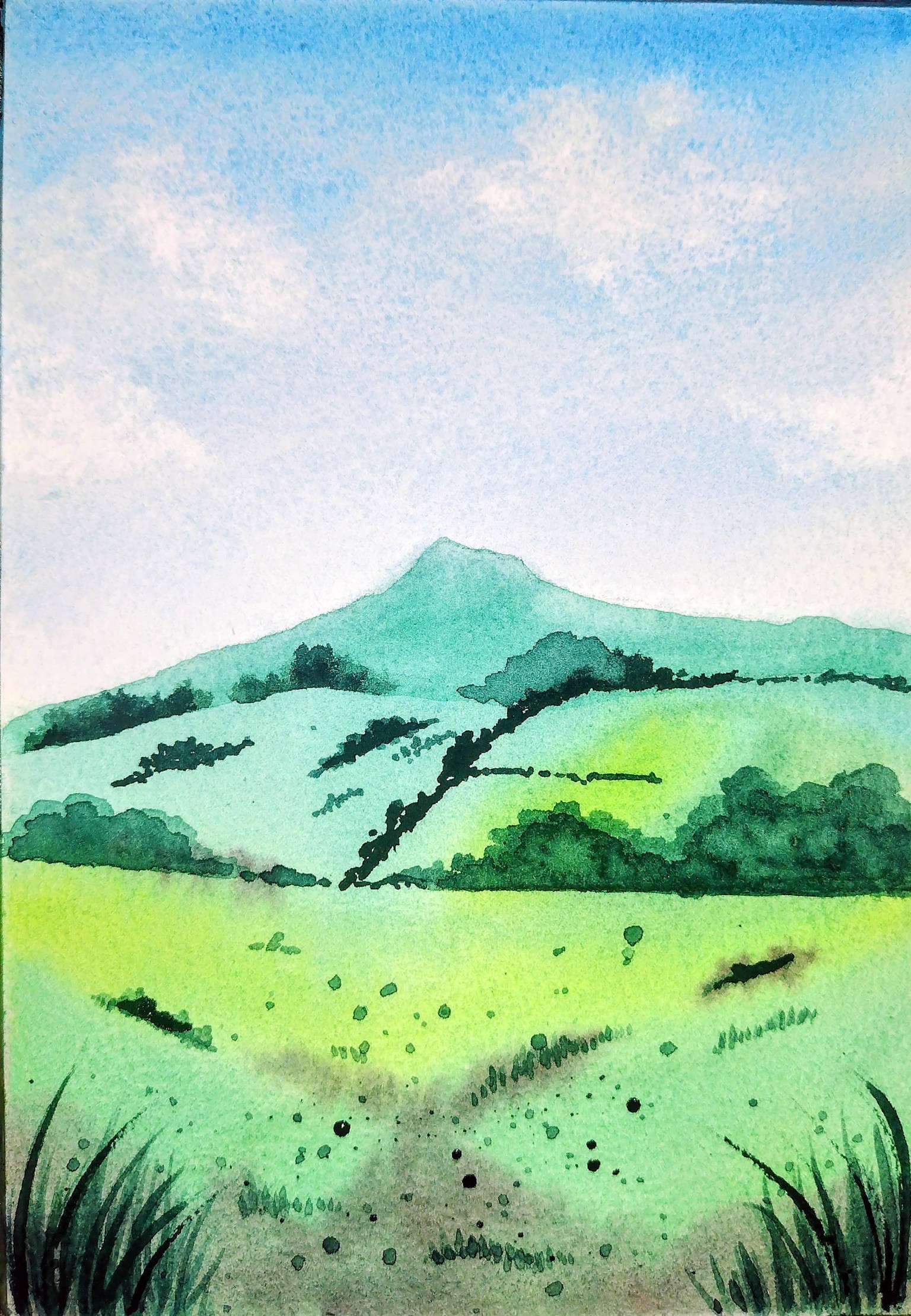 Nature In watercolor Projects - image 23 - student project