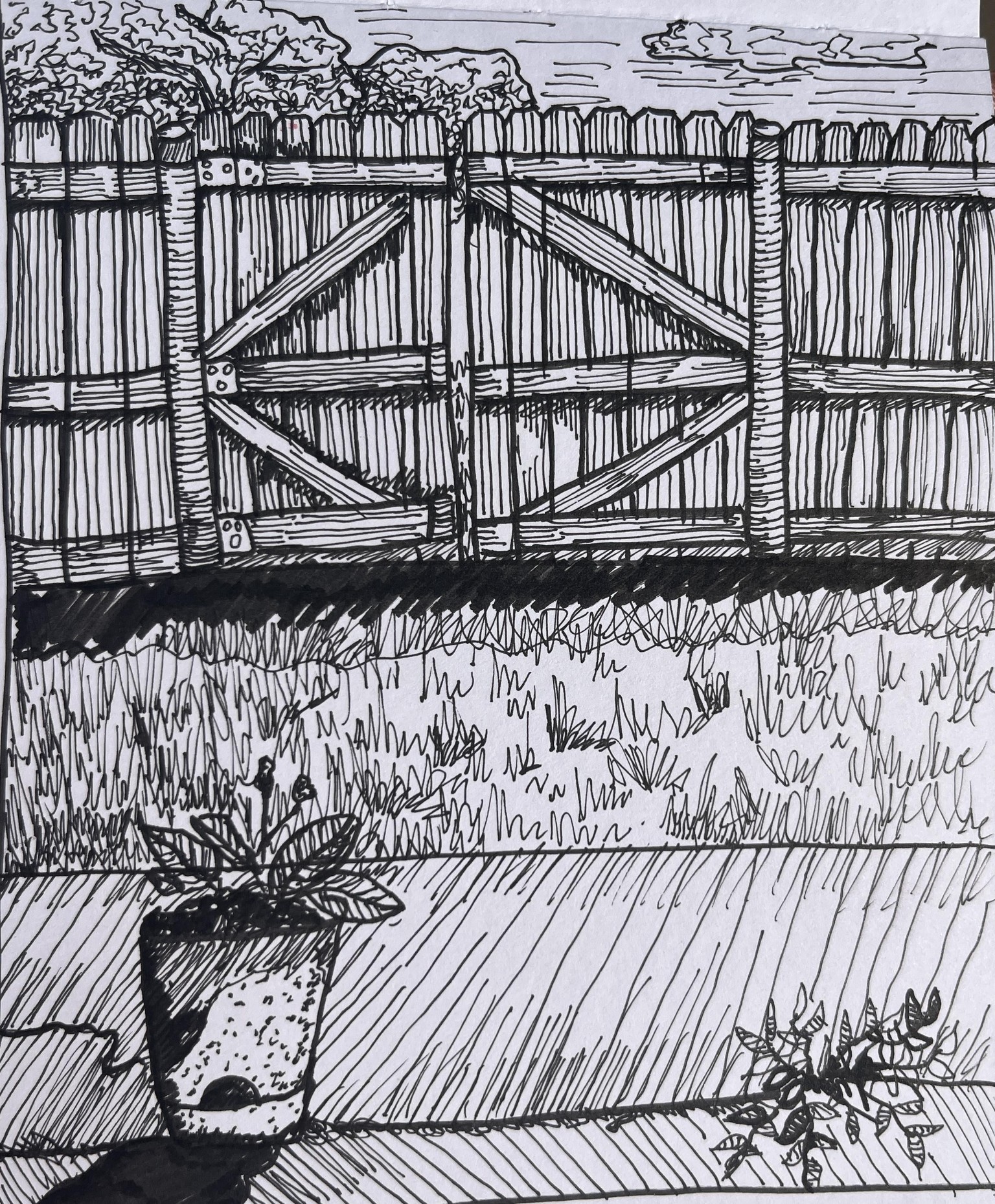 Outdoor pen and ink - image 1 - student project