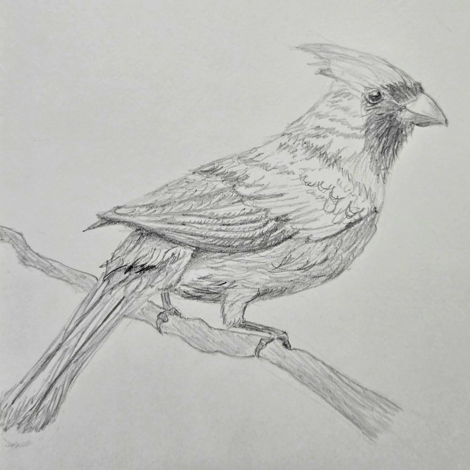 初めてのプロジェクト！ - image 1 - student project