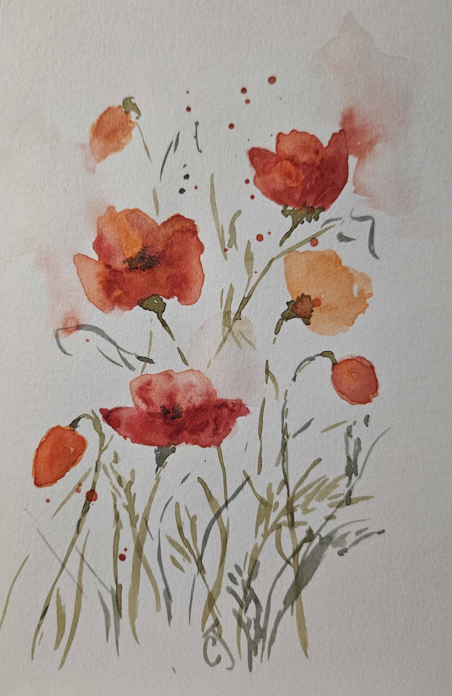 Poppies in sketchbook - image 1 - student project