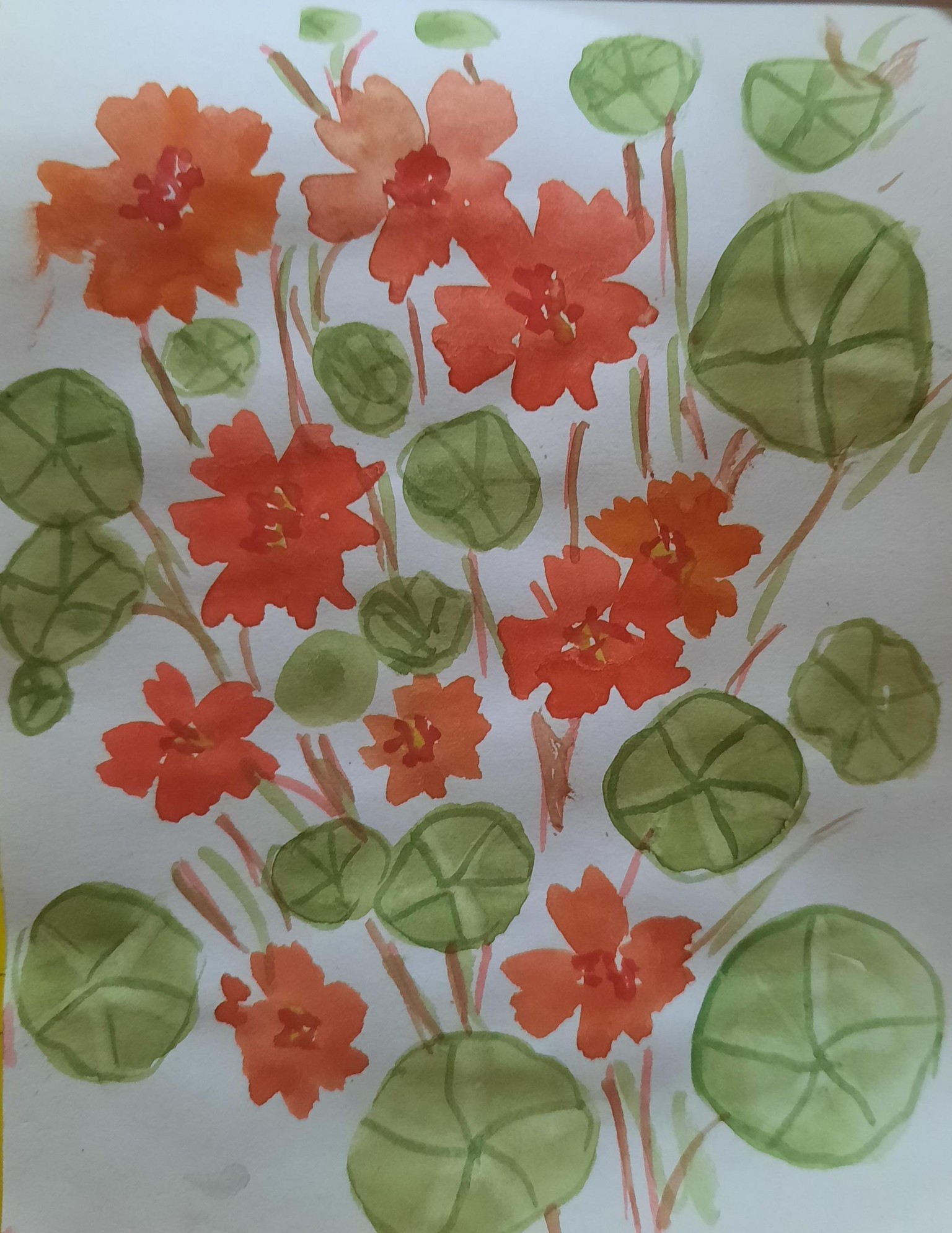 floral - image 1 - student project